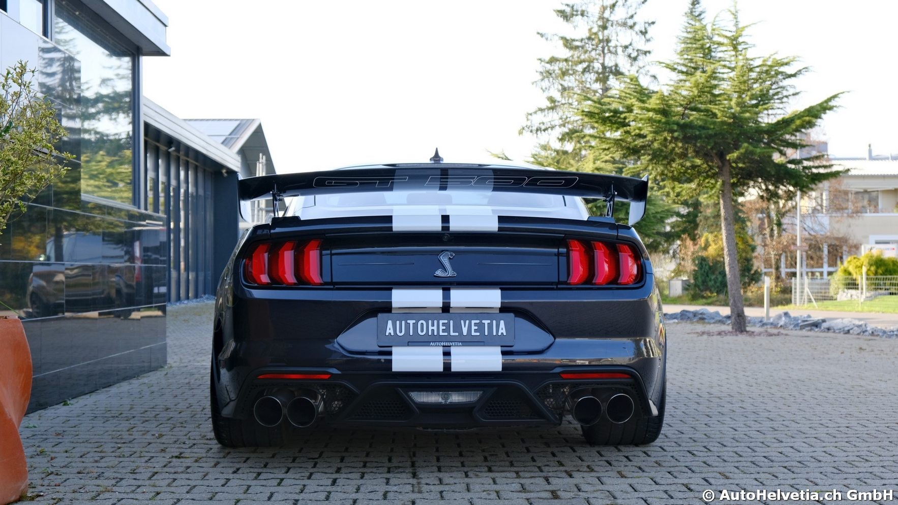 FORD Mustang Shelby GT 500 - Carbon Fiber Track Pack Predator GT500-image-7