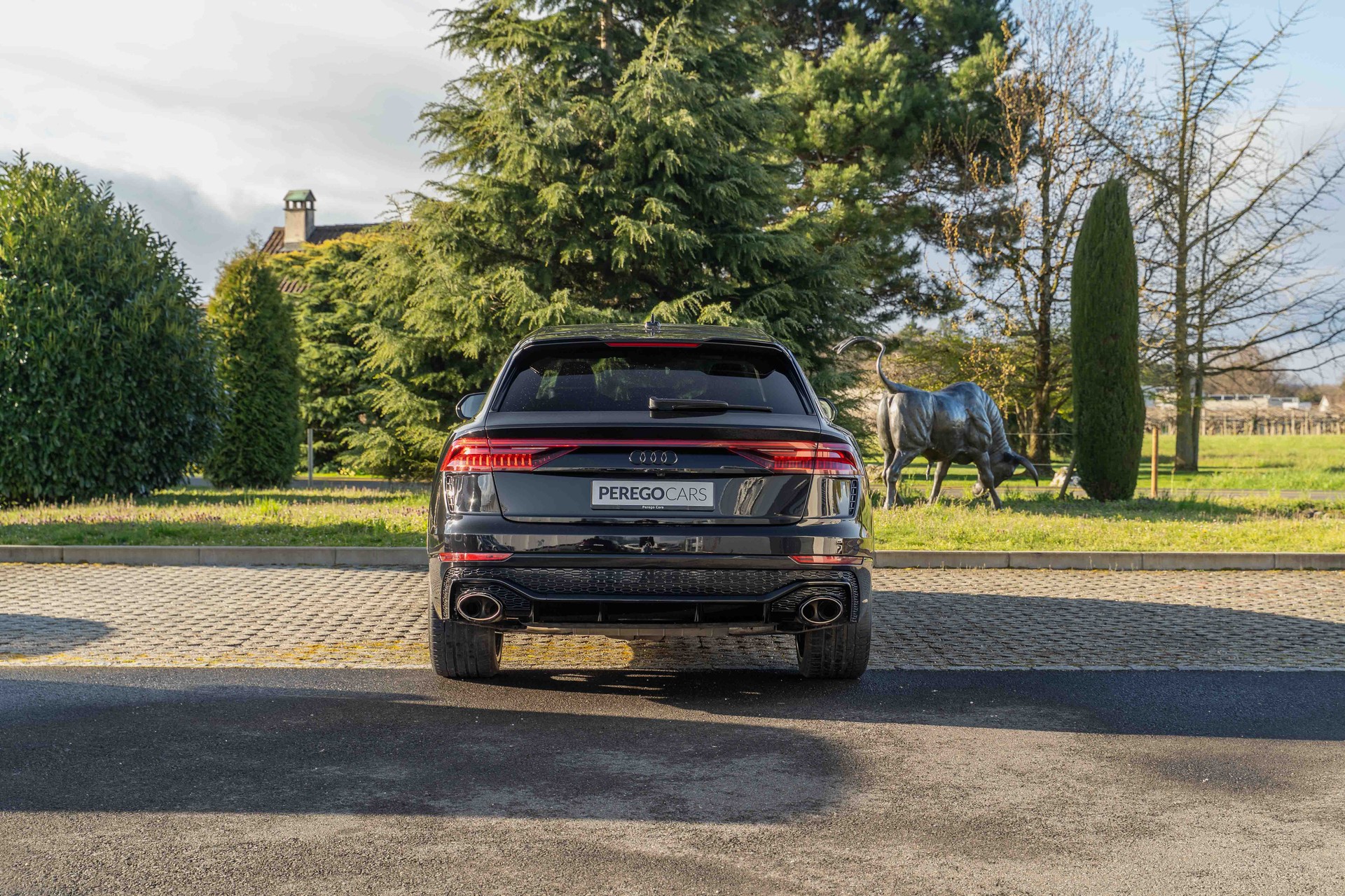 AUDI RSQ8 quattro tiptronic-image-4