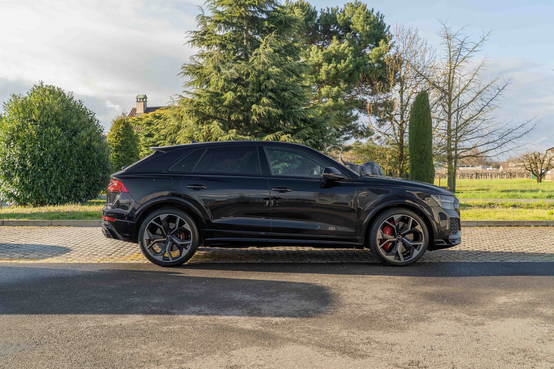 AUDI RSQ8 quattro tiptronic-image-3