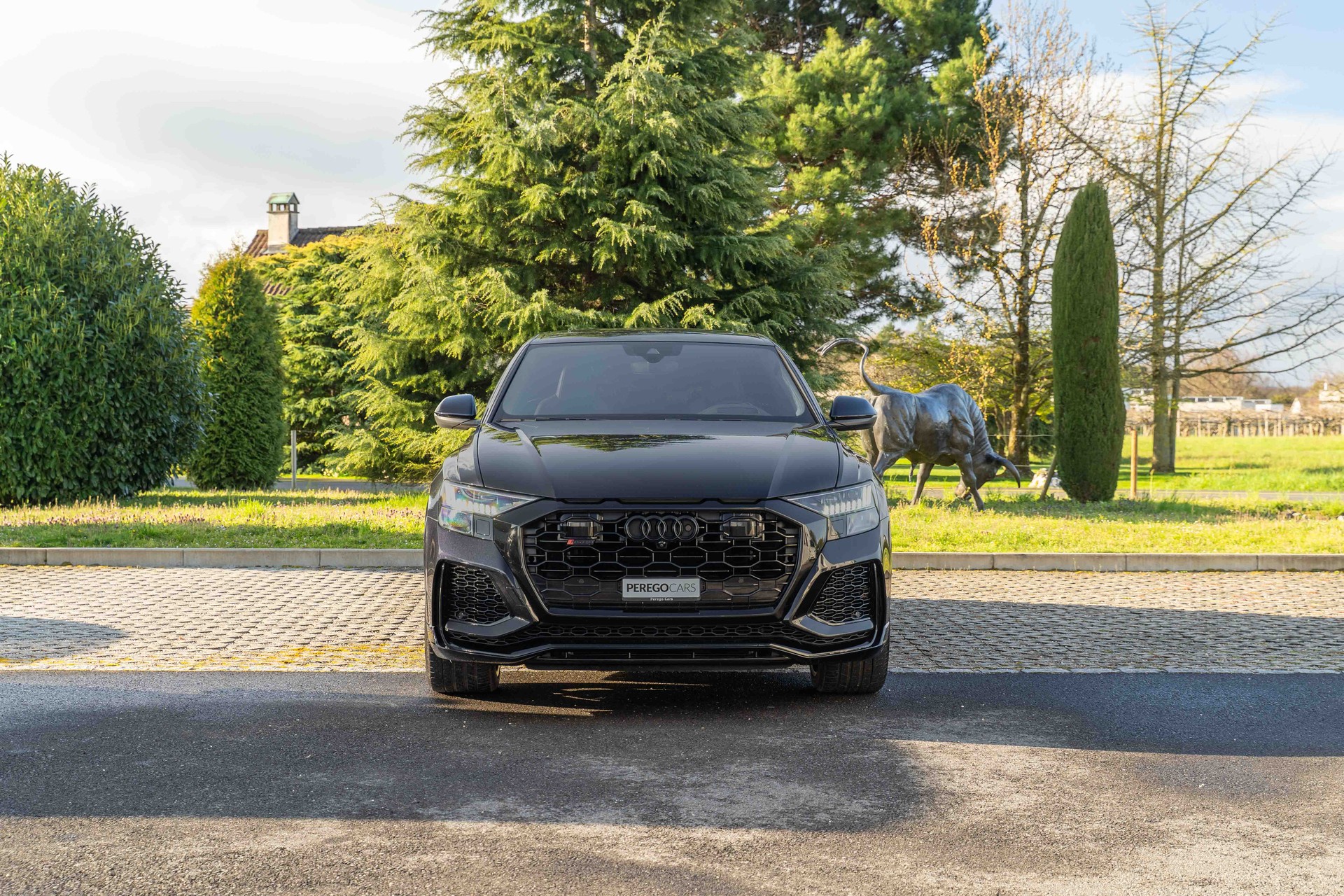 AUDI RSQ8 quattro tiptronic-image-2