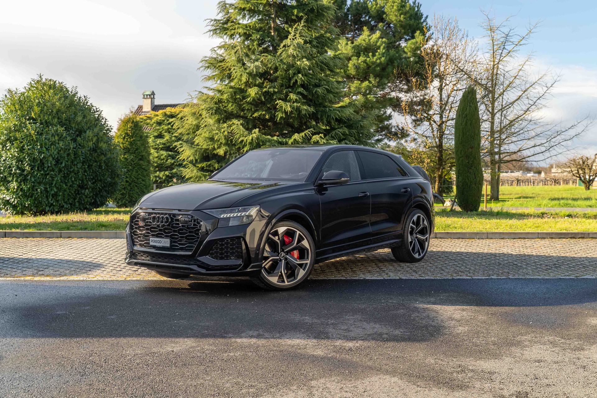 AUDI RSQ8 quattro tiptronic
