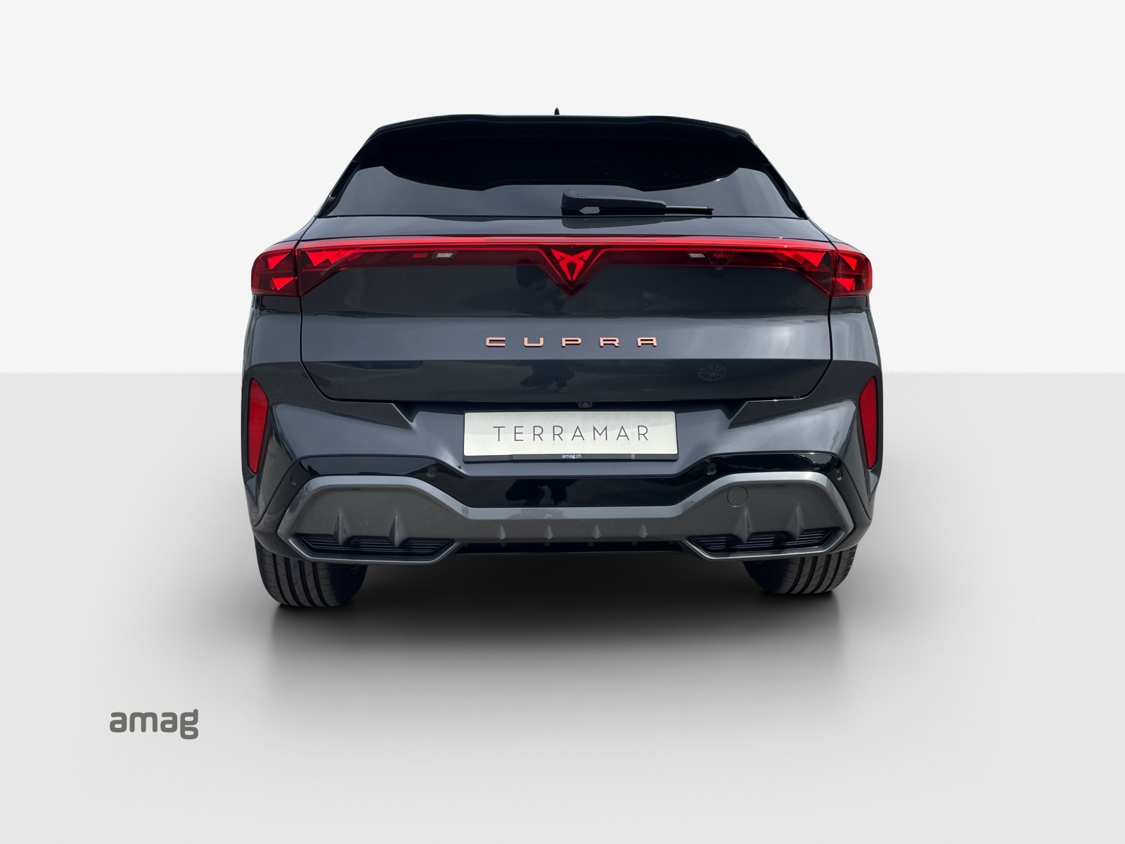 SEAT Terramar 2.0 TSI DSG 4Drive Business Edition-showroom-element-3
