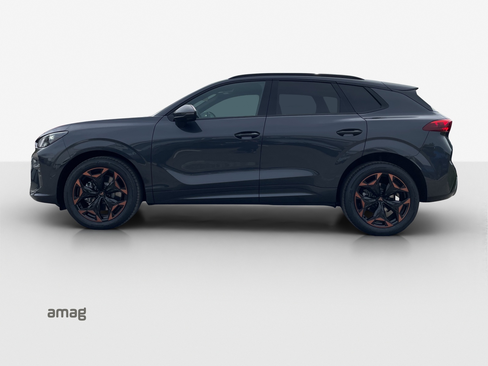 SEAT Terramar 2.0 TSI DSG 4Drive Business Edition-showroom-element-1