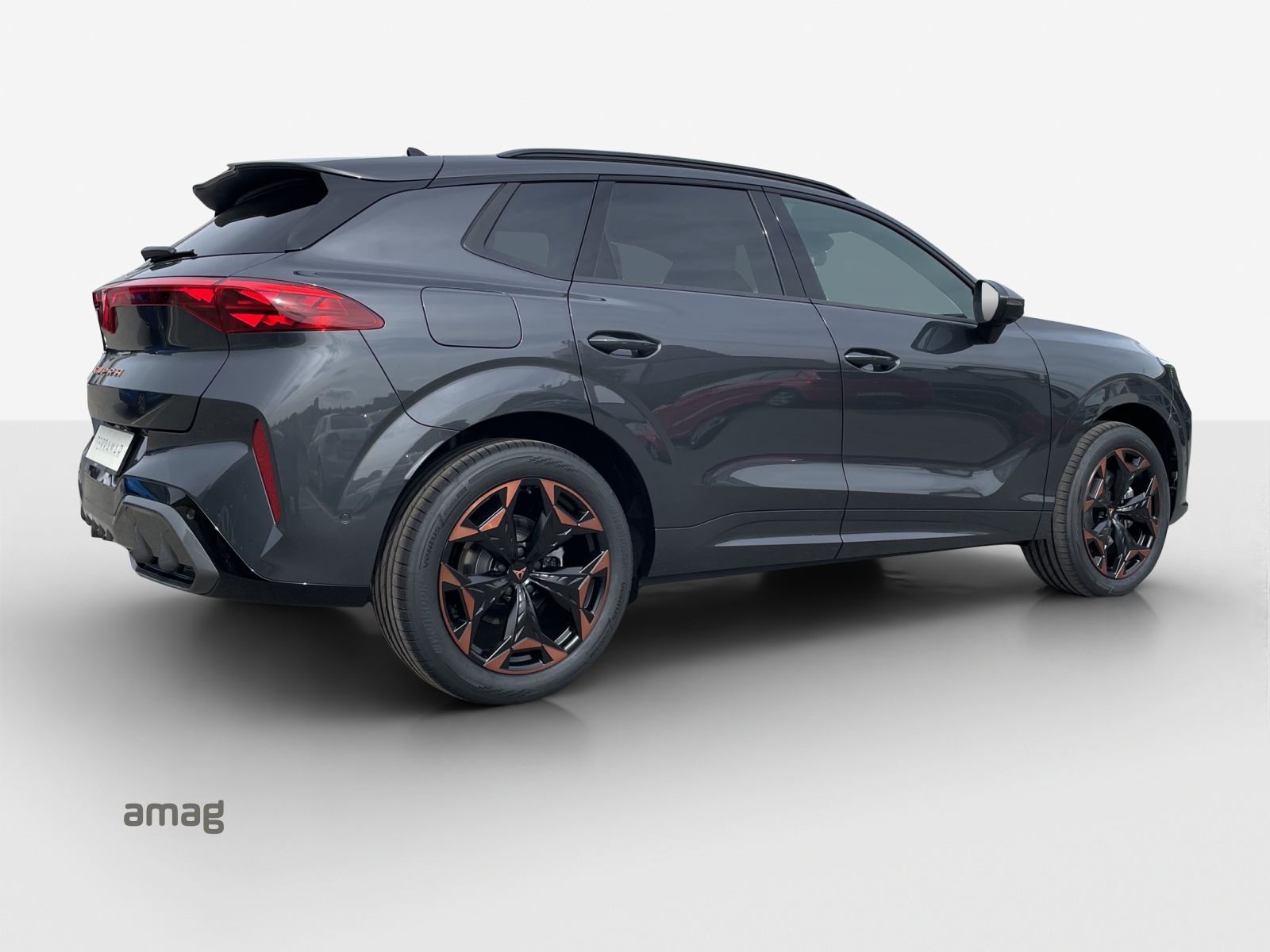 SEAT Terramar 2.0 TSI DSG 4Drive Business Edition-image-4