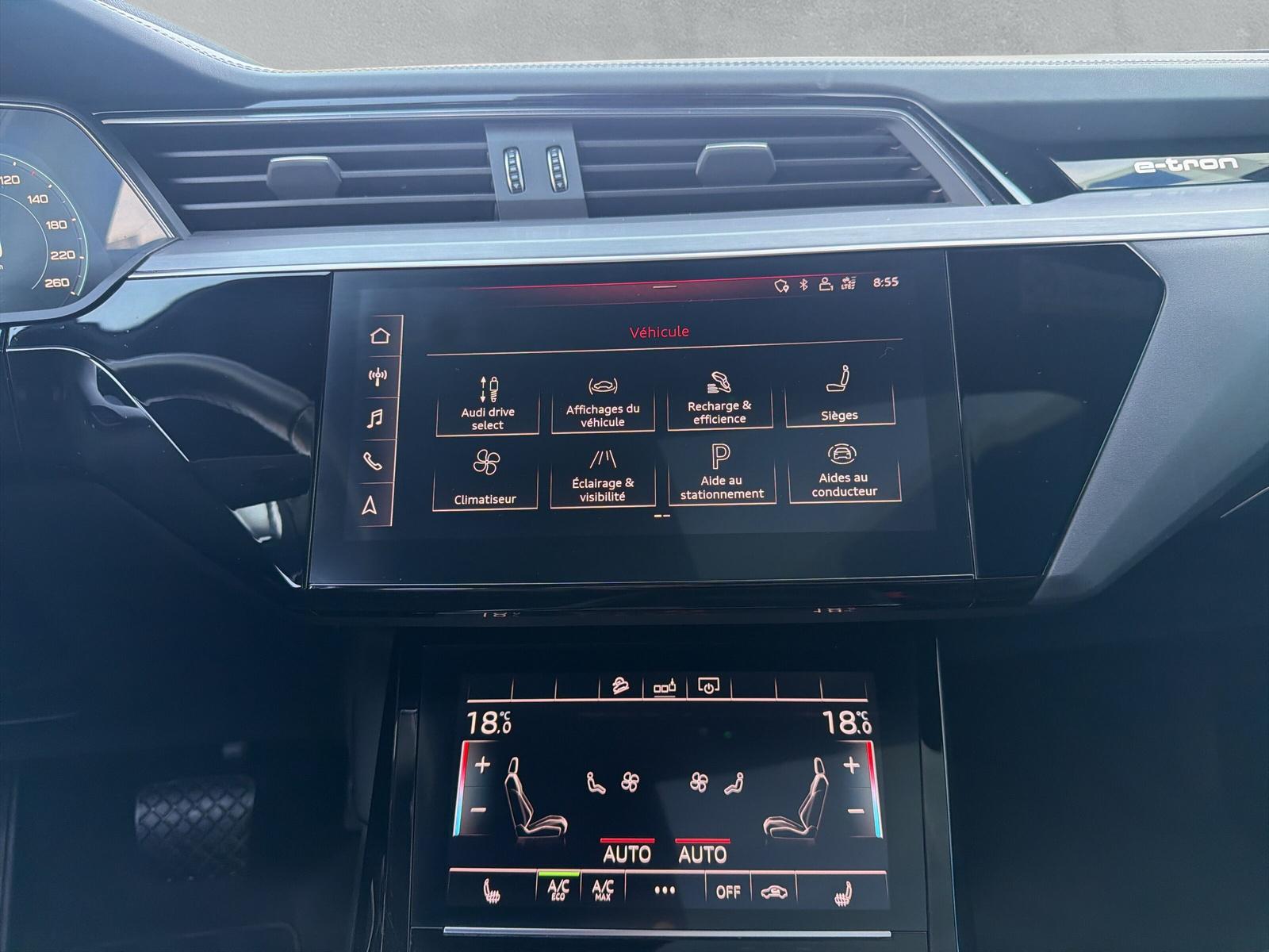 AUDI e-tron 55 Advanced quattro (CH)-image-19