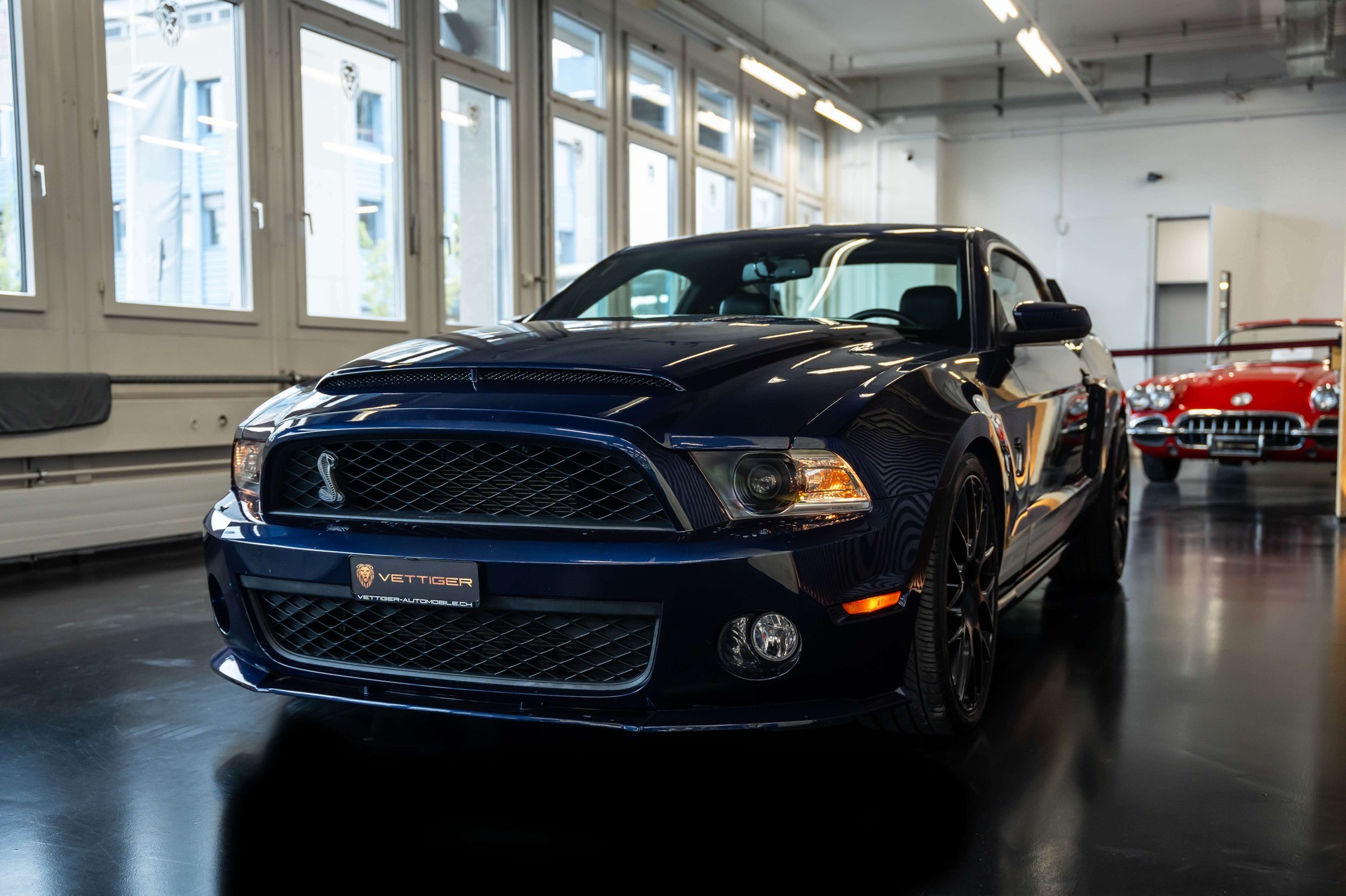 FORD MUSTANG Shelby GT 500 SVT-showroom-element-2