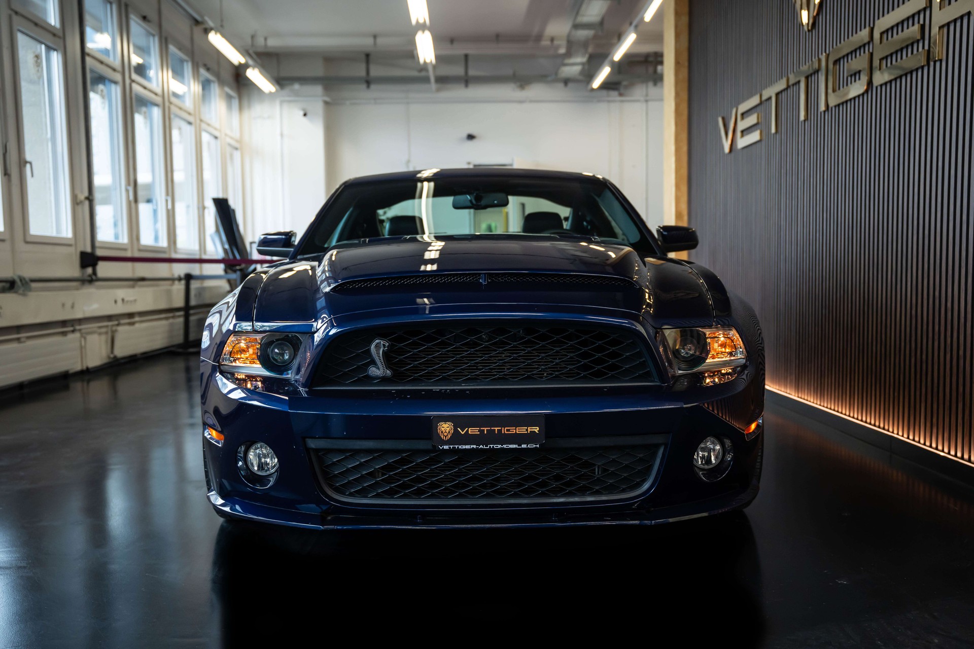 FORD MUSTANG Shelby GT 500 SVT-showroom-element-1