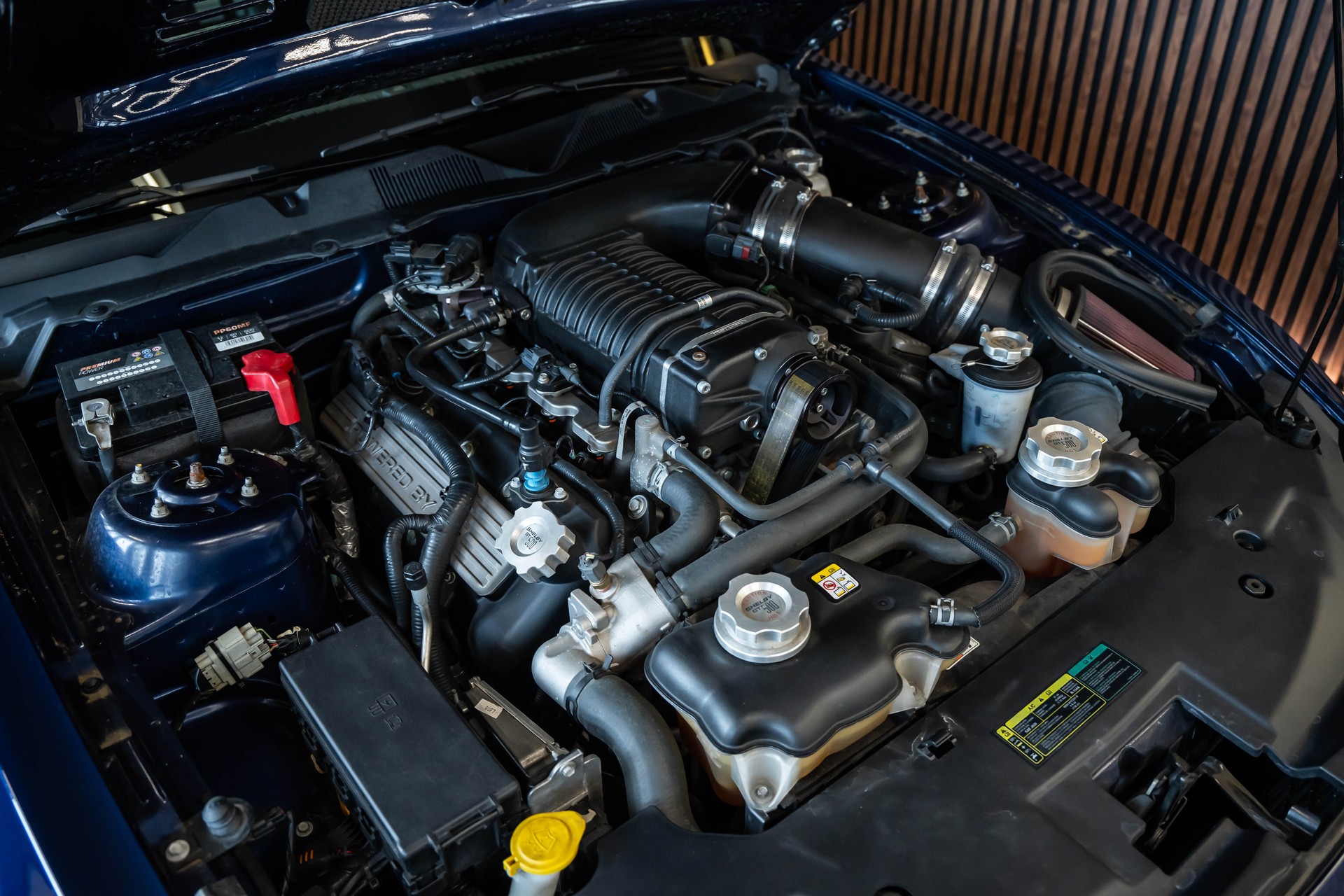 FORD MUSTANG Shelby GT 500 SVT-image-30