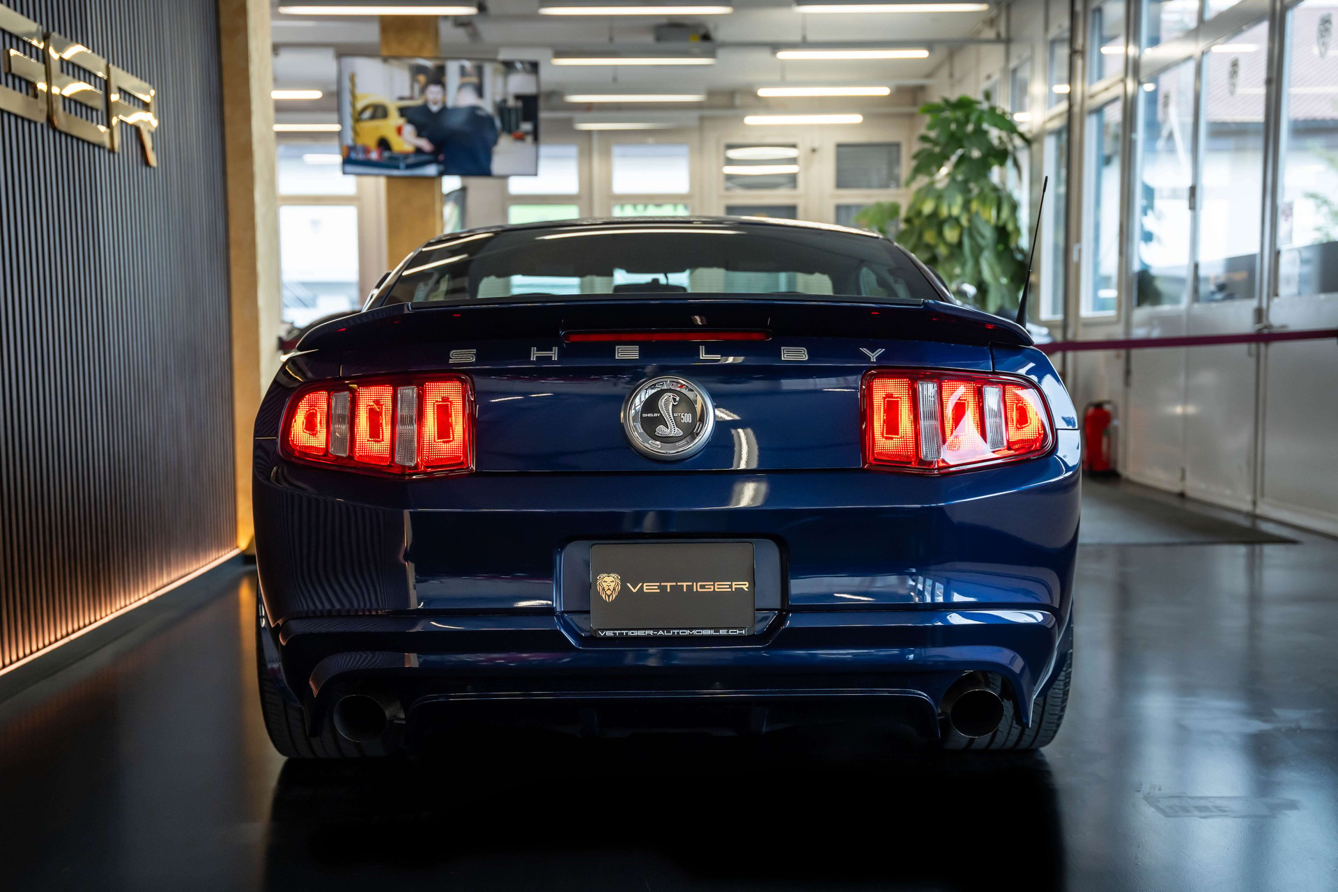 FORD MUSTANG Shelby GT 500 SVT-image-4