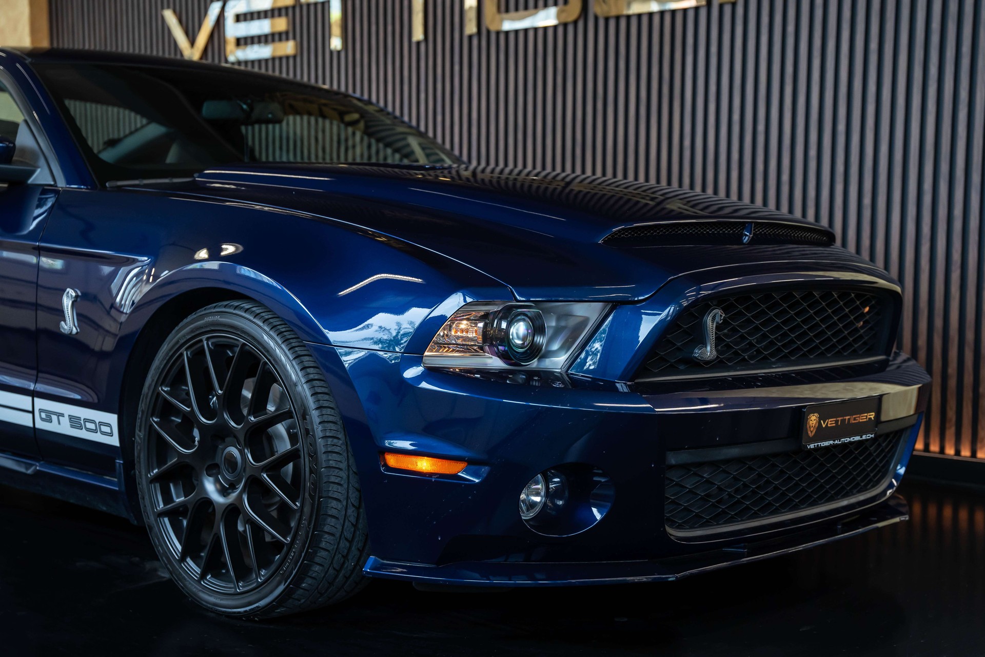 FORD MUSTANG Shelby GT 500 SVT-image-6