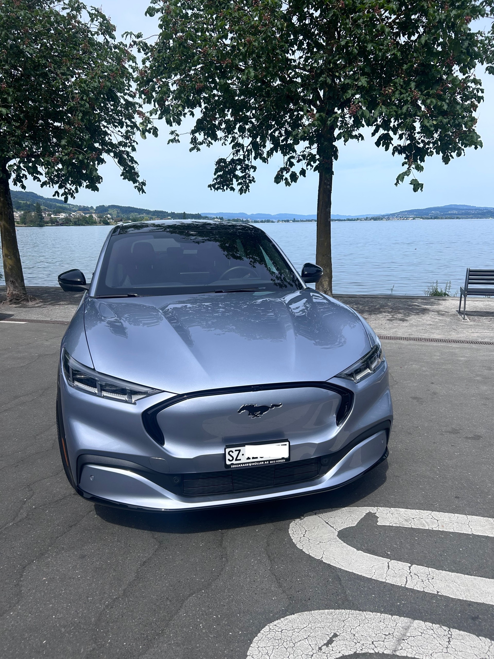 FORD Extended AWD