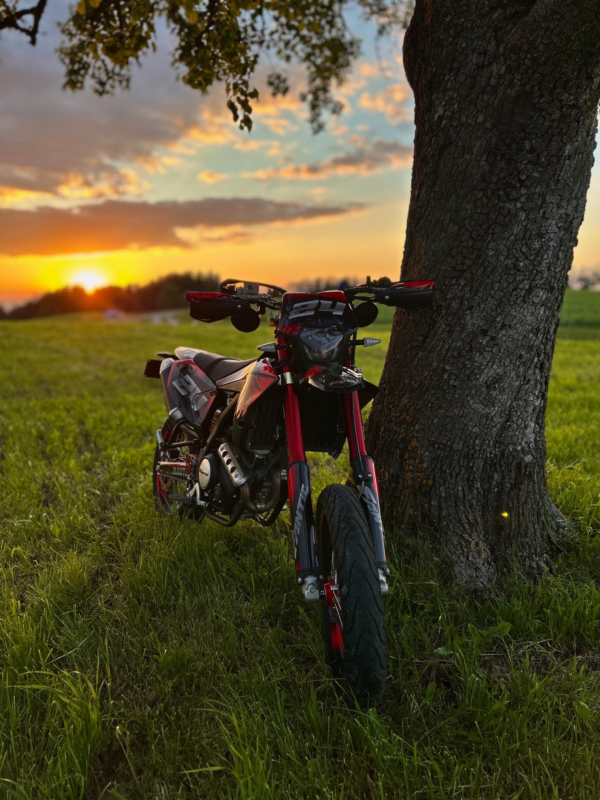 FANTIC XMF 125 Motard-image-1
