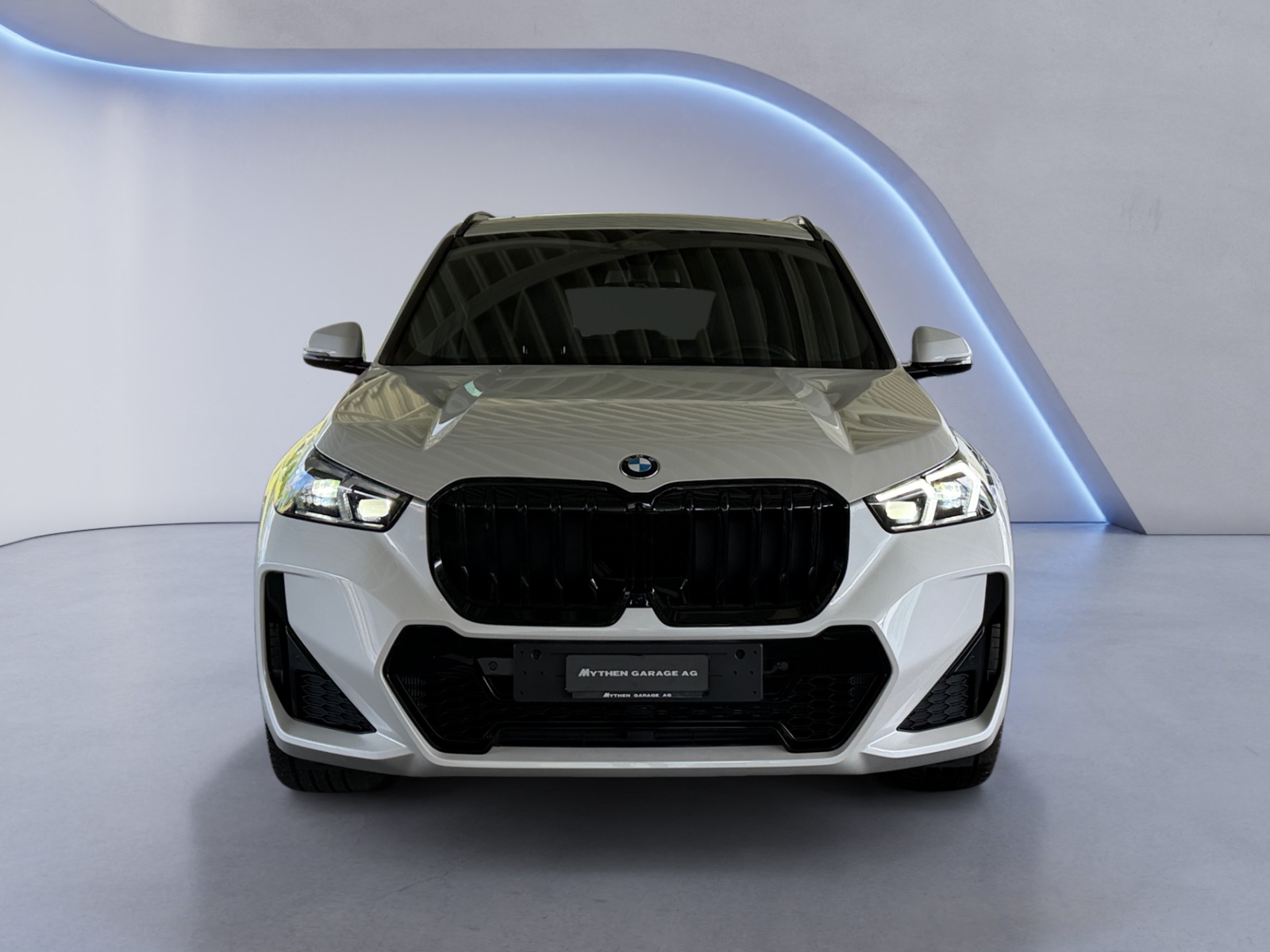 BMW X1 23i xDrive paddles-image-7