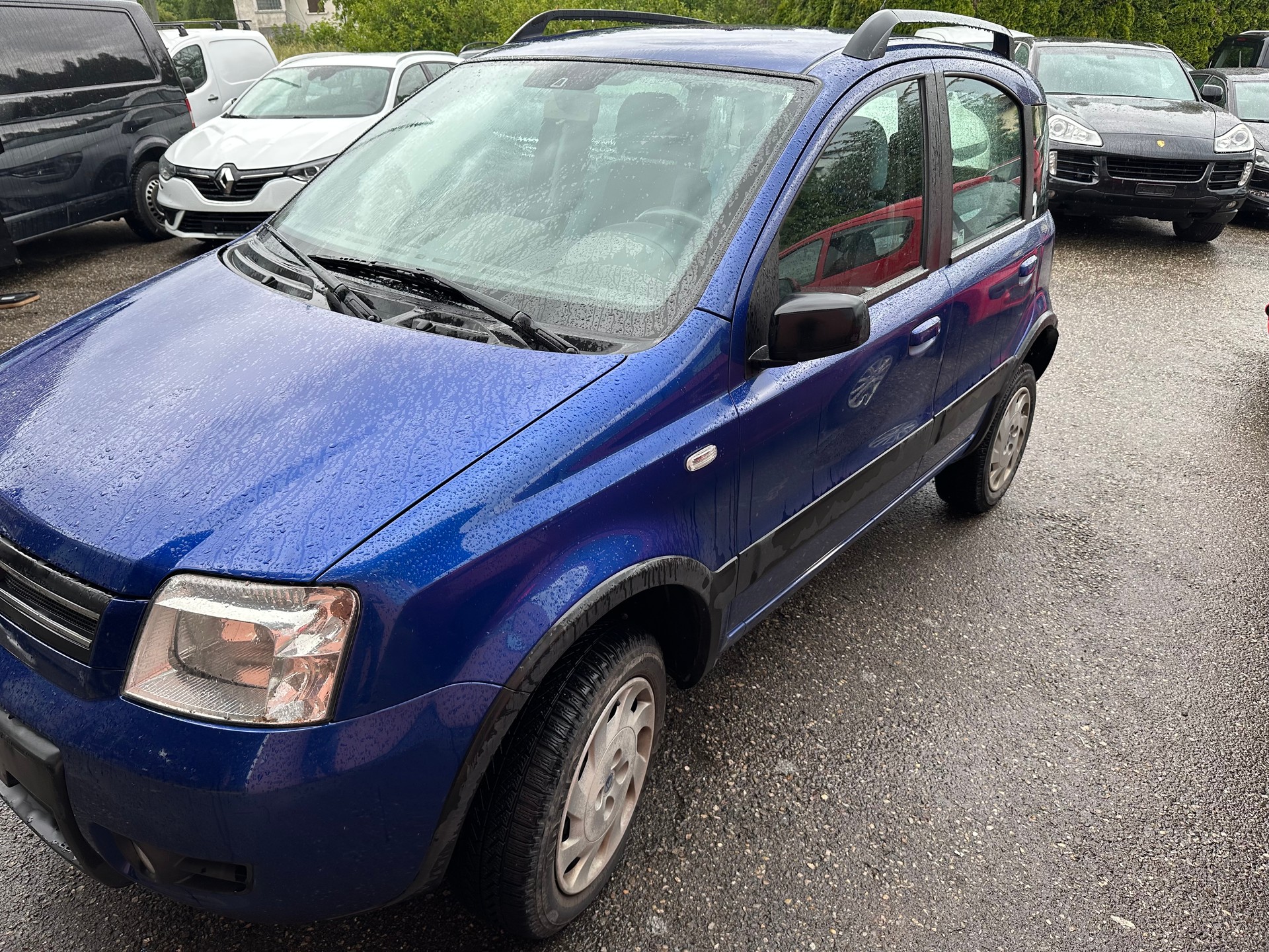 FIAT Panda 1.3 16V JTD 4x4 (Trekking)-image-3