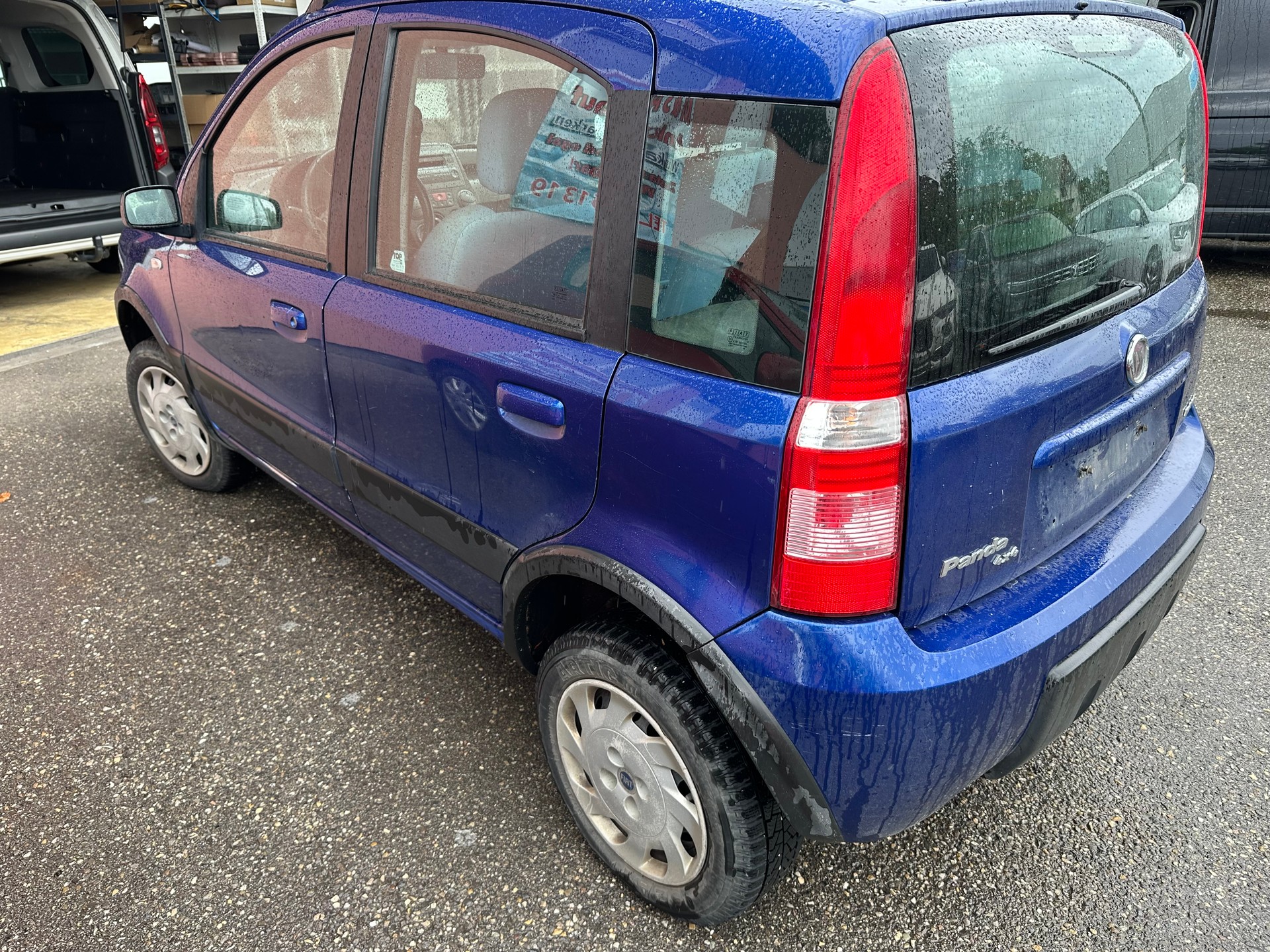 FIAT Panda 1.3 16V JTD 4x4 (Trekking)-image-4