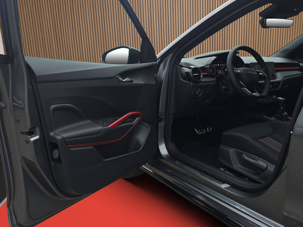 SKODA Fabia 1.5 TSI Monte Carlo DSG-image-10