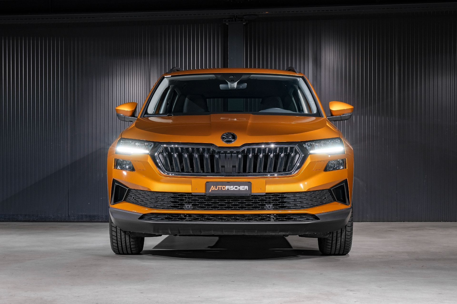 SKODA Karoq 1.5 TSI Fresh DSG-showroom-element-2