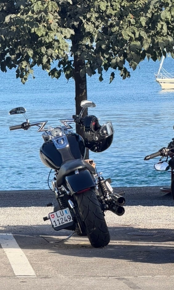 HARLEY-DAVIDSON FXDF Dyna Fat Bob-image-6