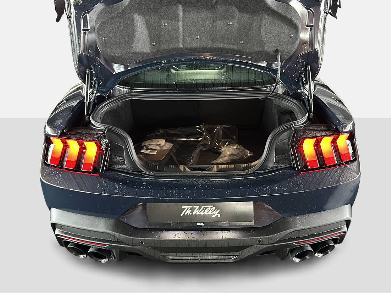 FORD Mustang Coupé 5.0 V8 Dark Horse-image-13