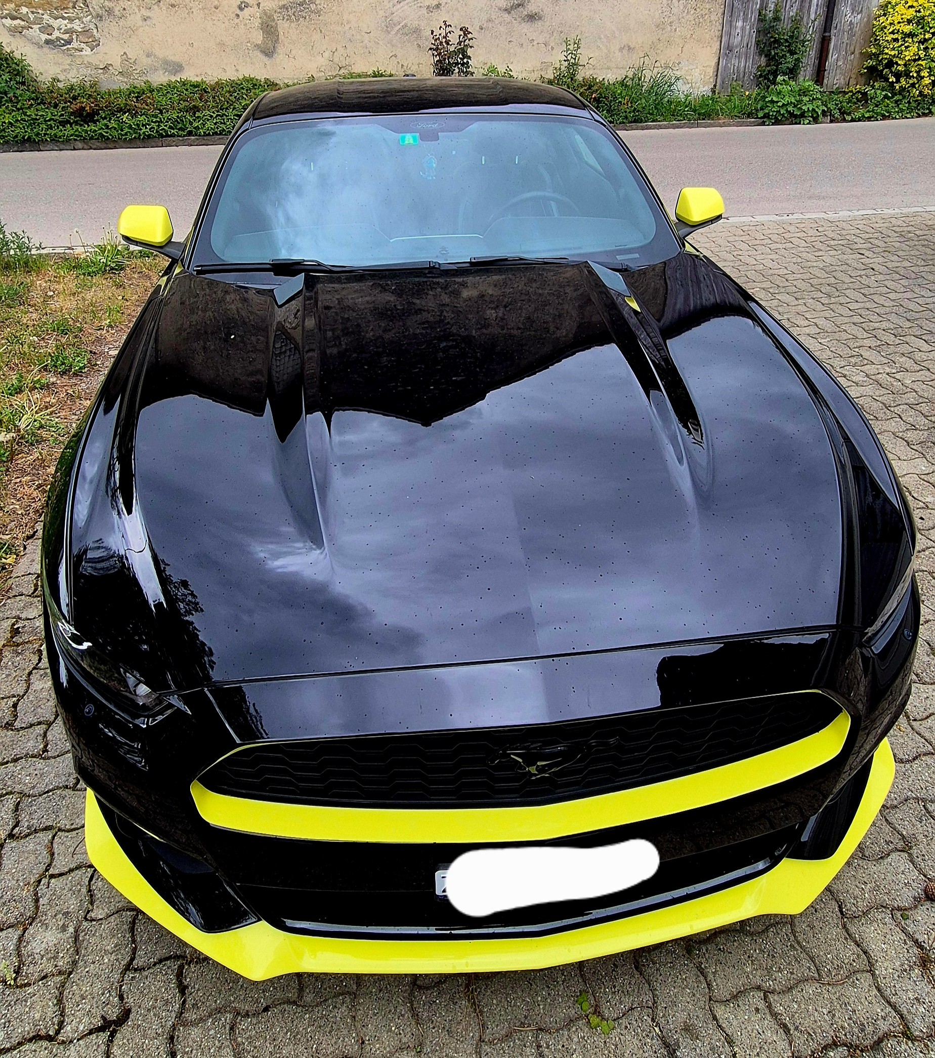 FORD Mustang Fastback 2.3 Automat-image-7