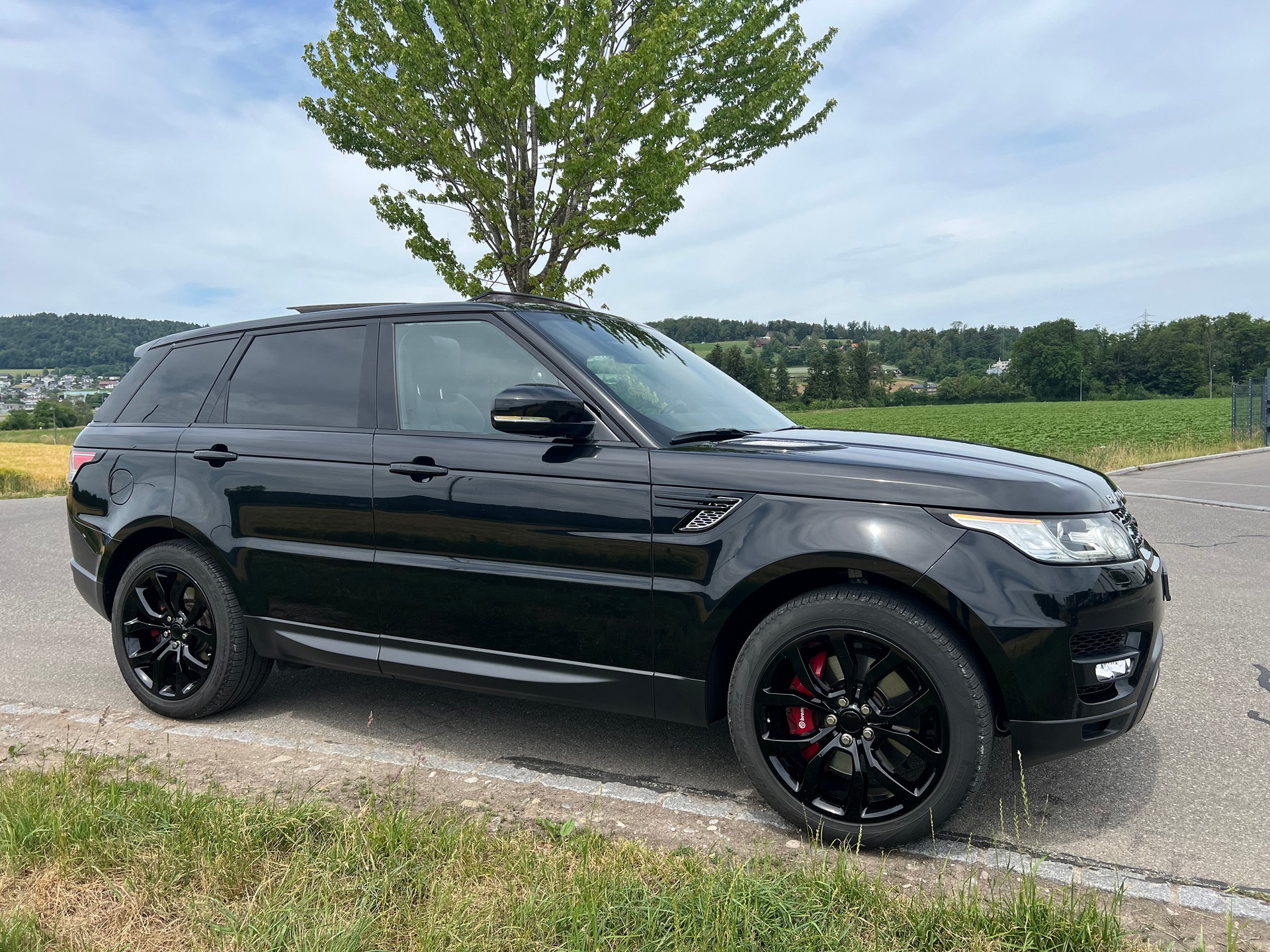 LAND ROVER Range Rover Sport 4.4 SDV8 - 7 Pläzer - Autobiography Dynamic A-image-14