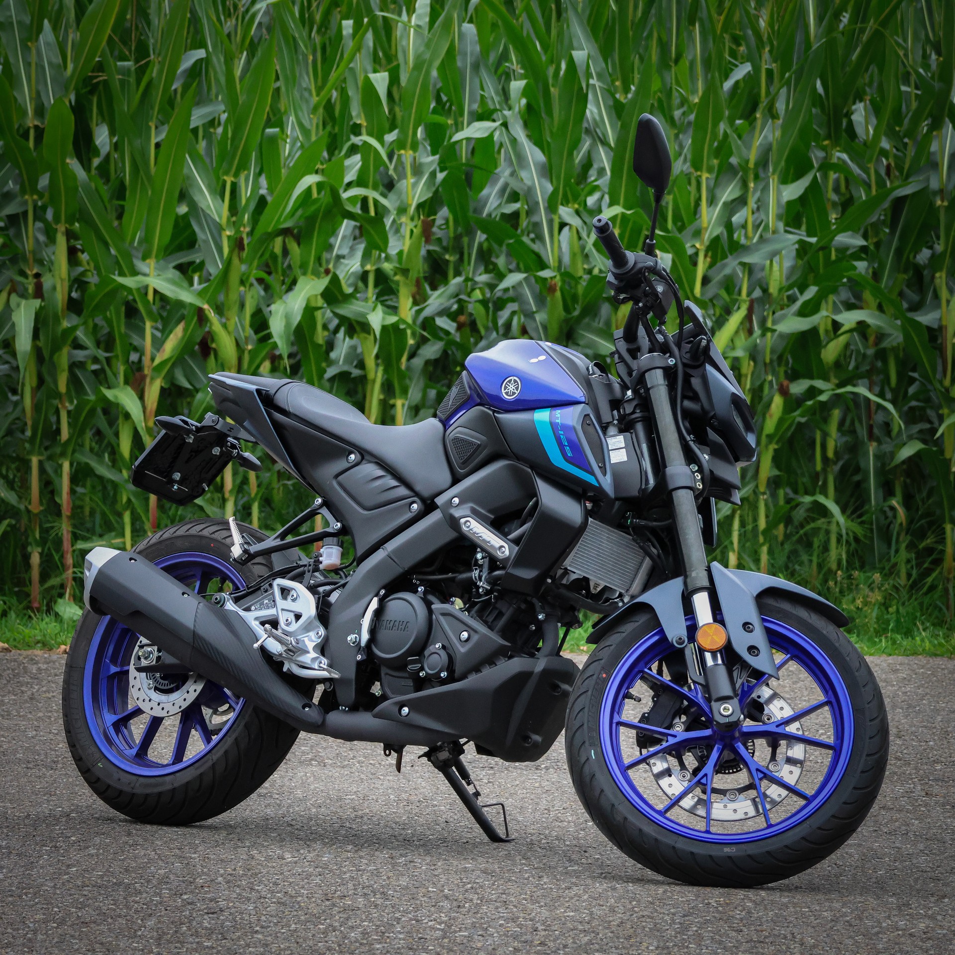 YAMAHA MT-125 ABS-image-0