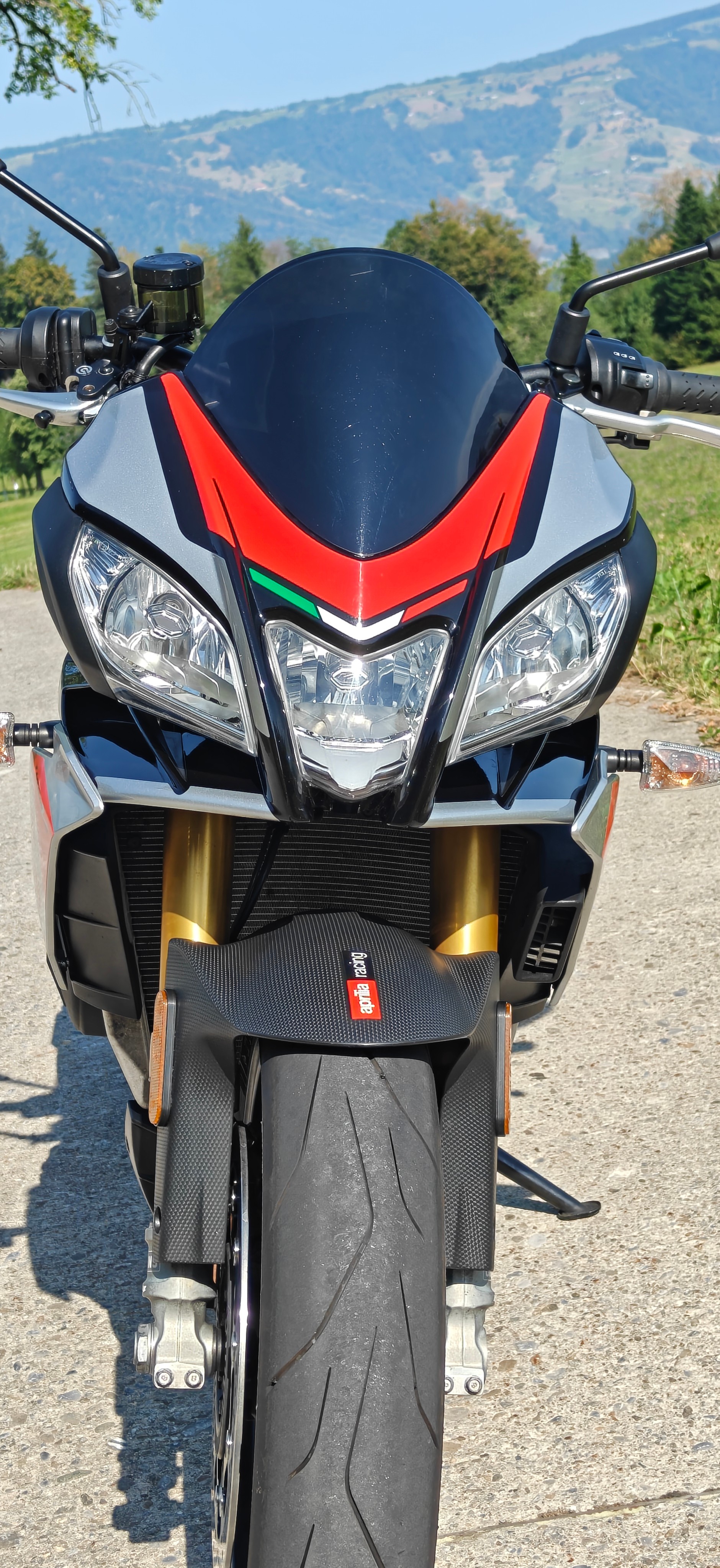 APRILIA Tuono V4 1100 Factory-image-6