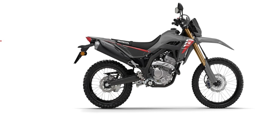 HONDA CRF 300