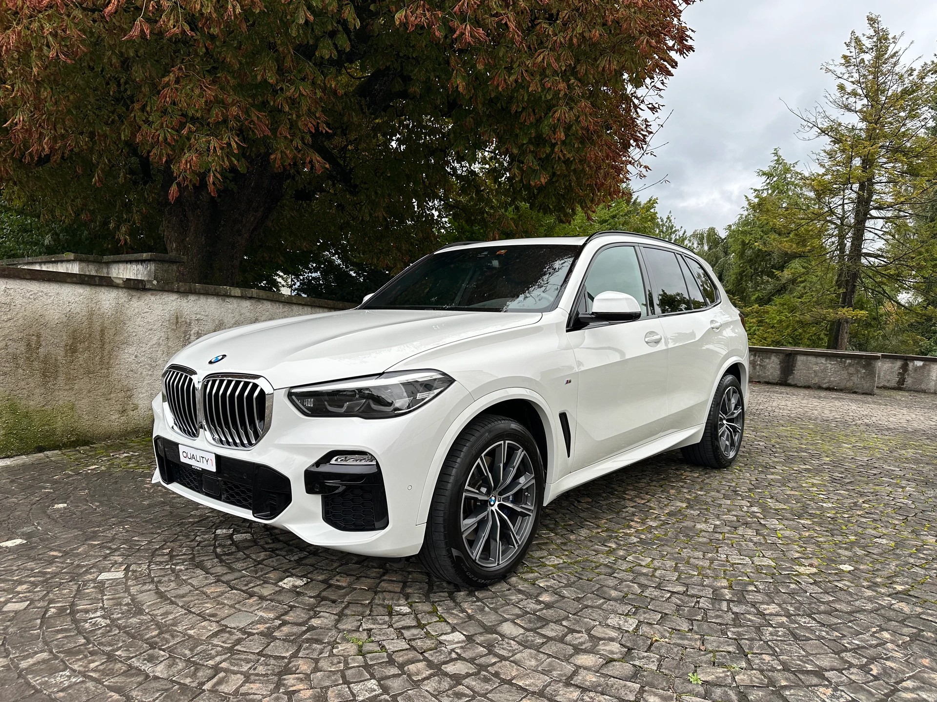 BMW X5 xDrive 48V 40i M Sport Steptronic /1 Hand/CH-Fahrzeug/Frisch ab MFK /36 Monate Garantie/Panorama /Swarovski