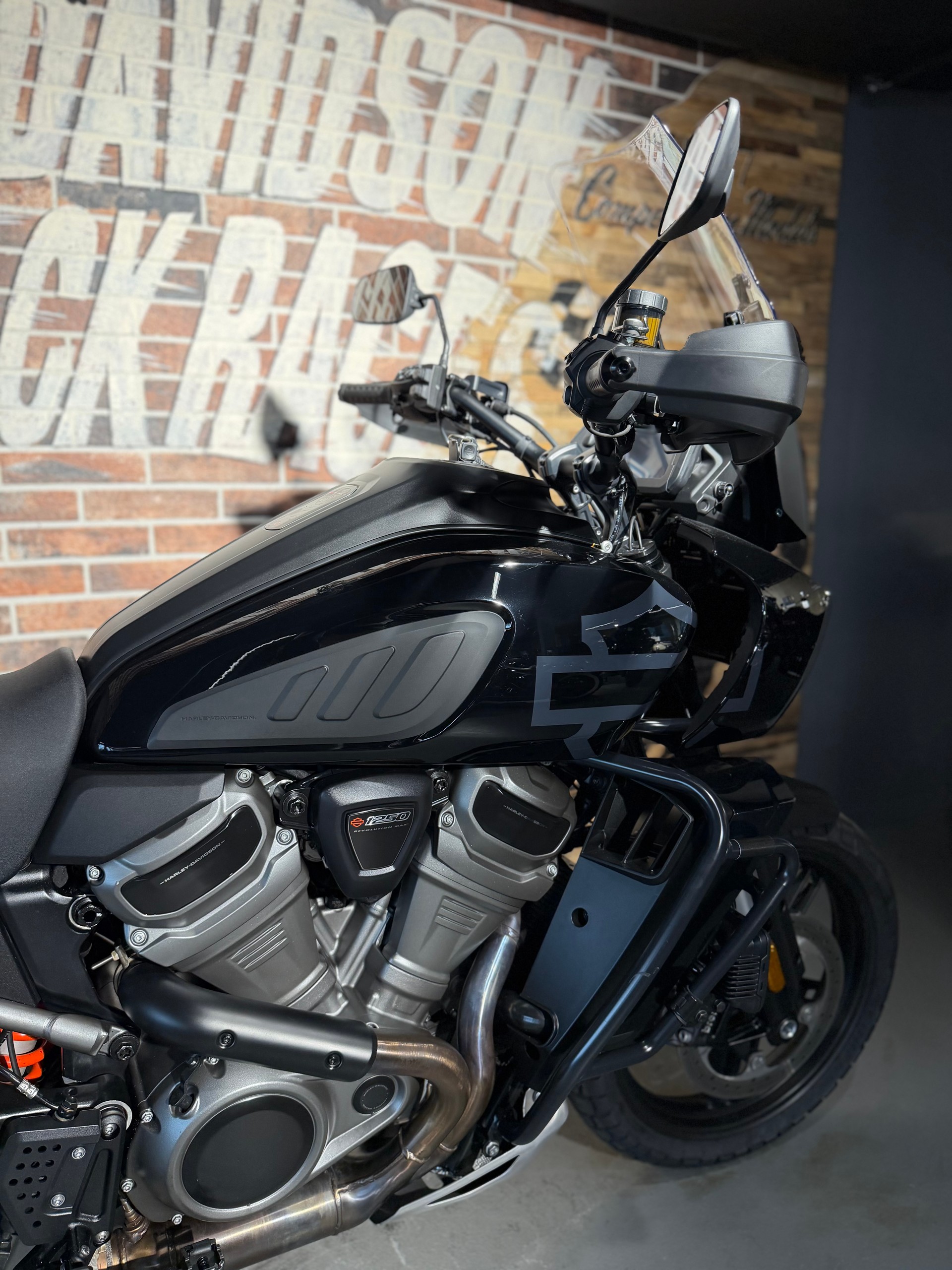 HARLEY-DAVIDSON RA Pan America 1250 Special-image-9