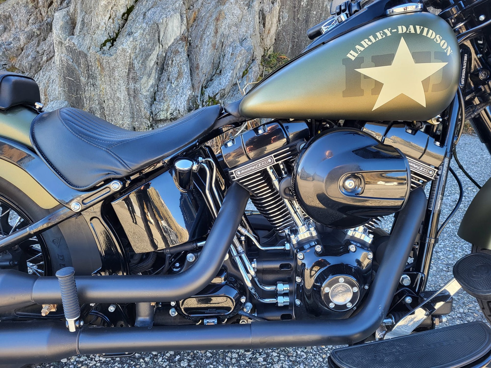 HARLEY-DAVIDSON FLSS Softail Slim S110 ABS-image-2
