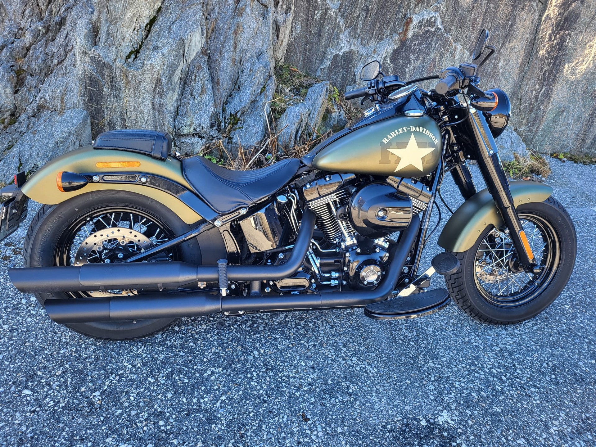 HARLEY-DAVIDSON FLSS Softail Slim S110 ABS-image-0