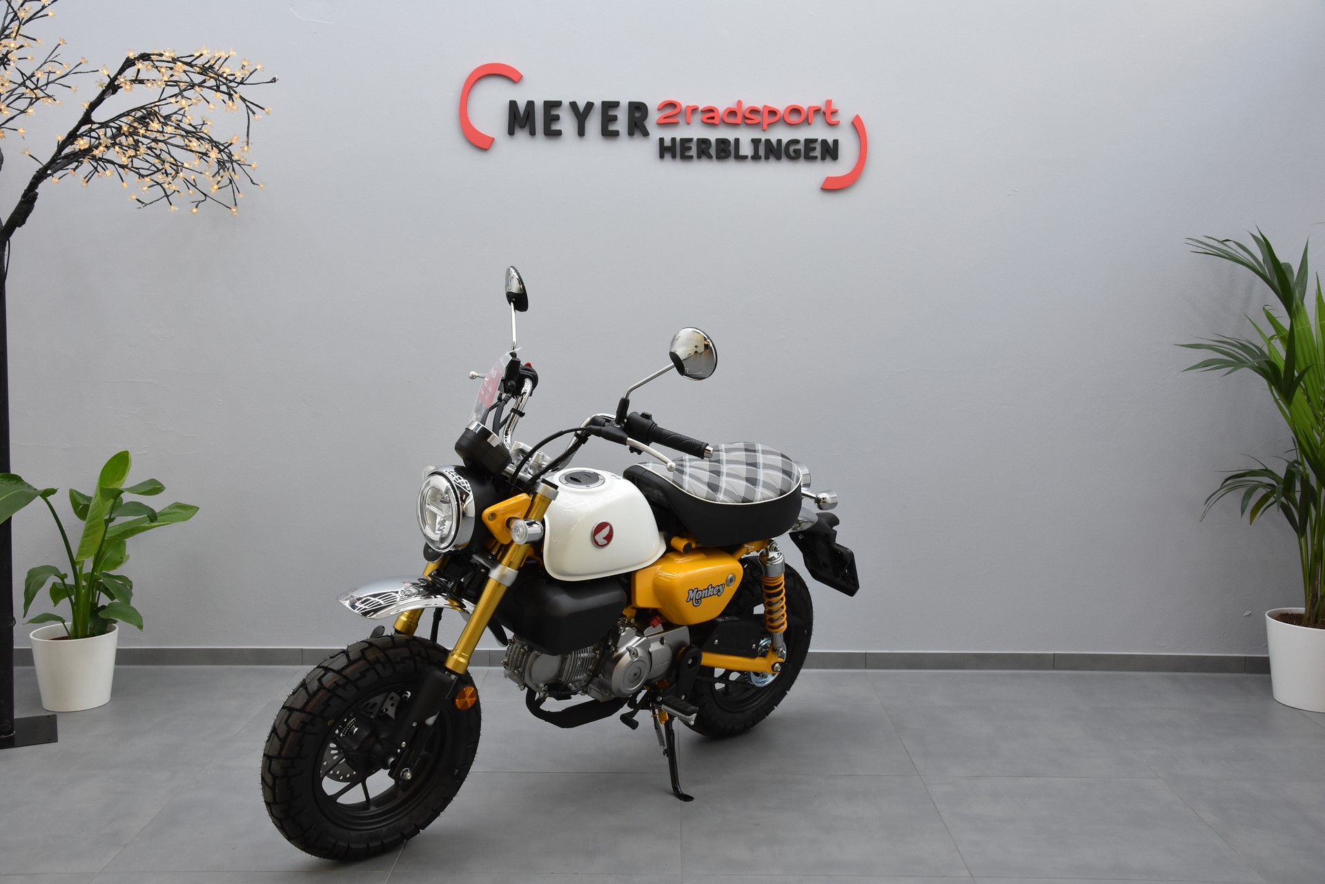 HONDA Z 125 Monkey-image-3