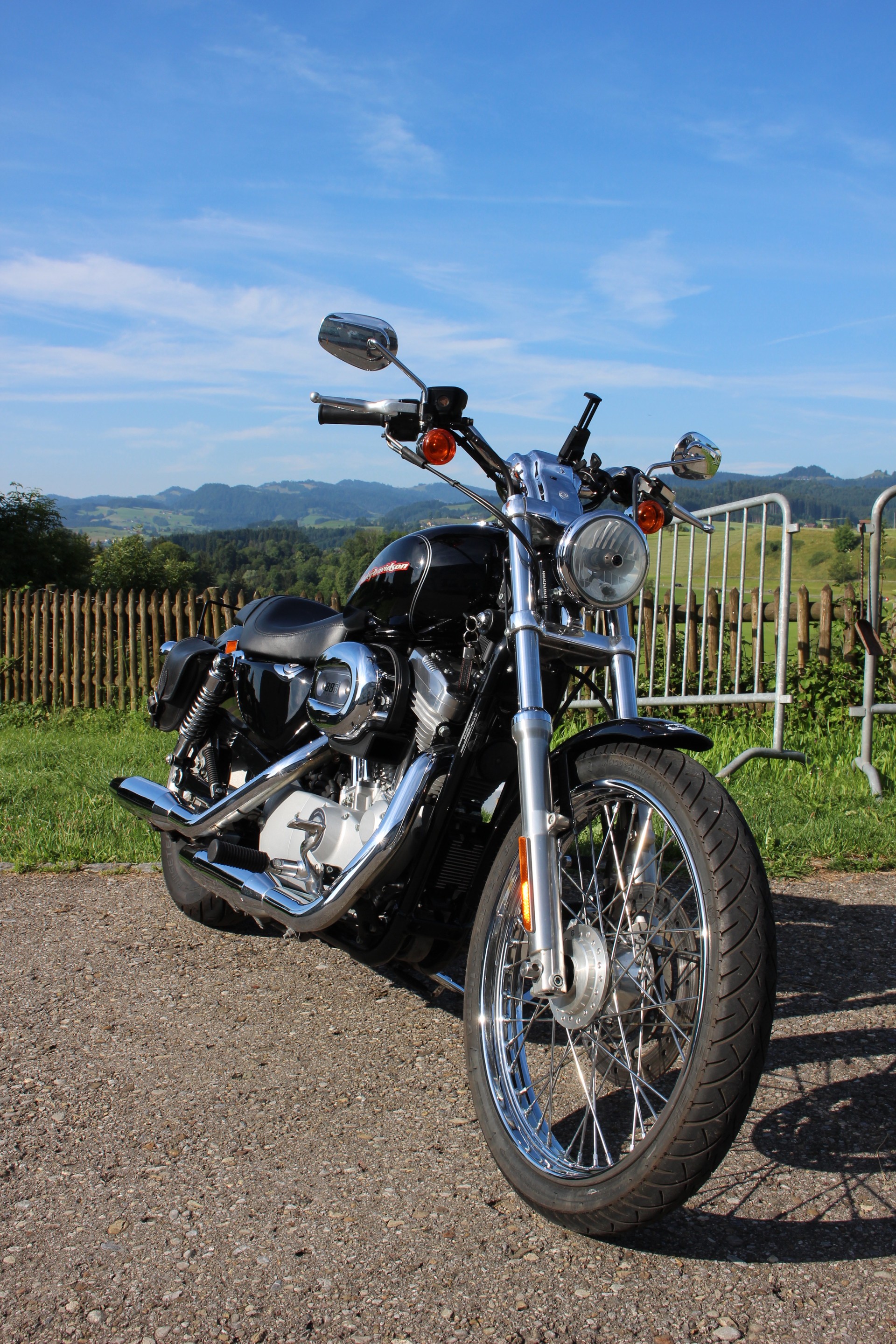 HARLEY-DAVIDSON XL 883 C Sportster Custom-image-2
