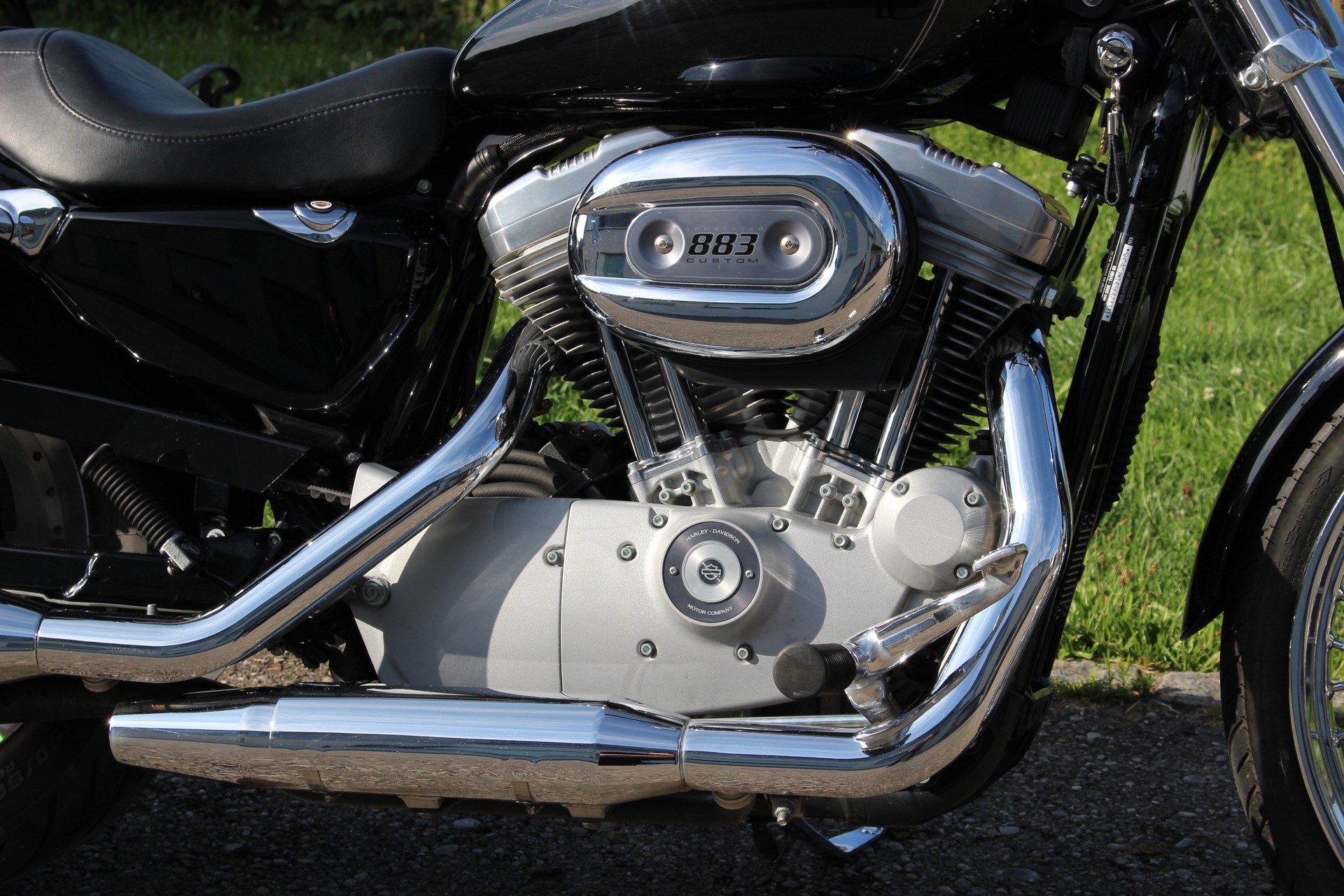 HARLEY-DAVIDSON XL 883 C Sportster Custom-image-5