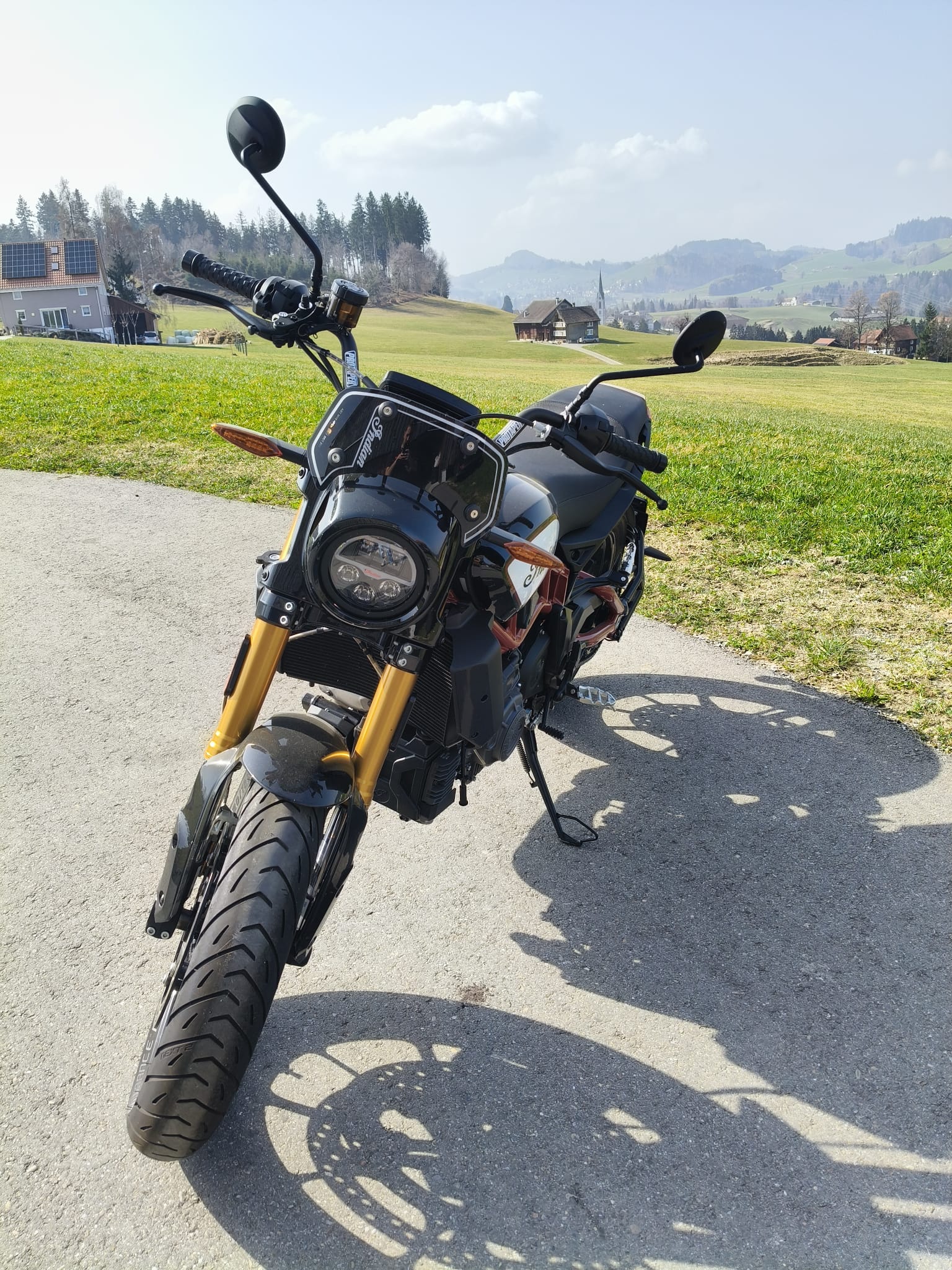 INDIAN FTR 1200 S-image-2