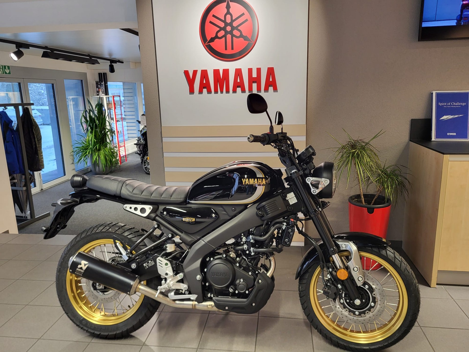 YAMAHA XSR 125 Legacy mit Akra-image-0