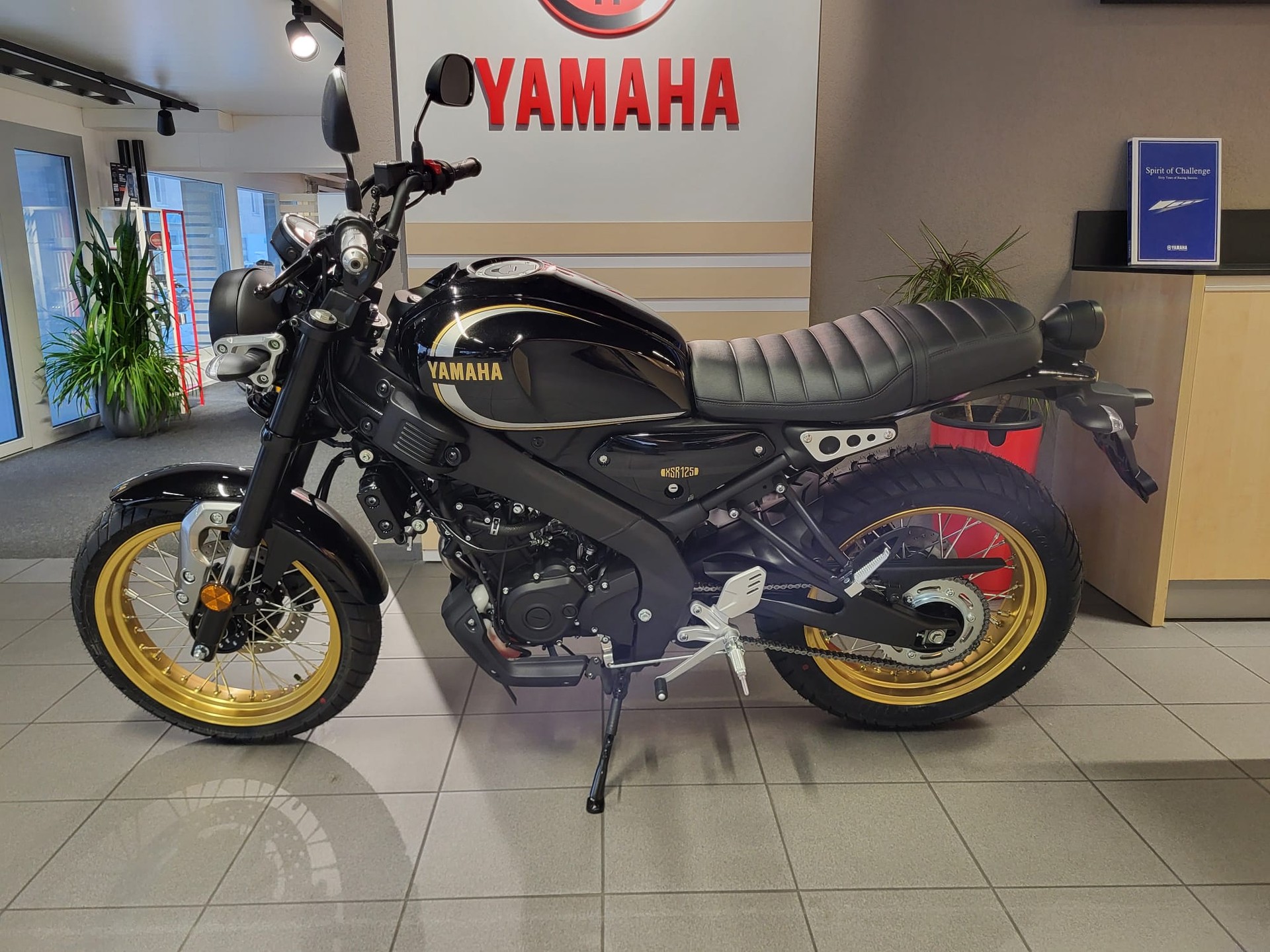YAMAHA XSR 125 Legacy mit Akra-image-3