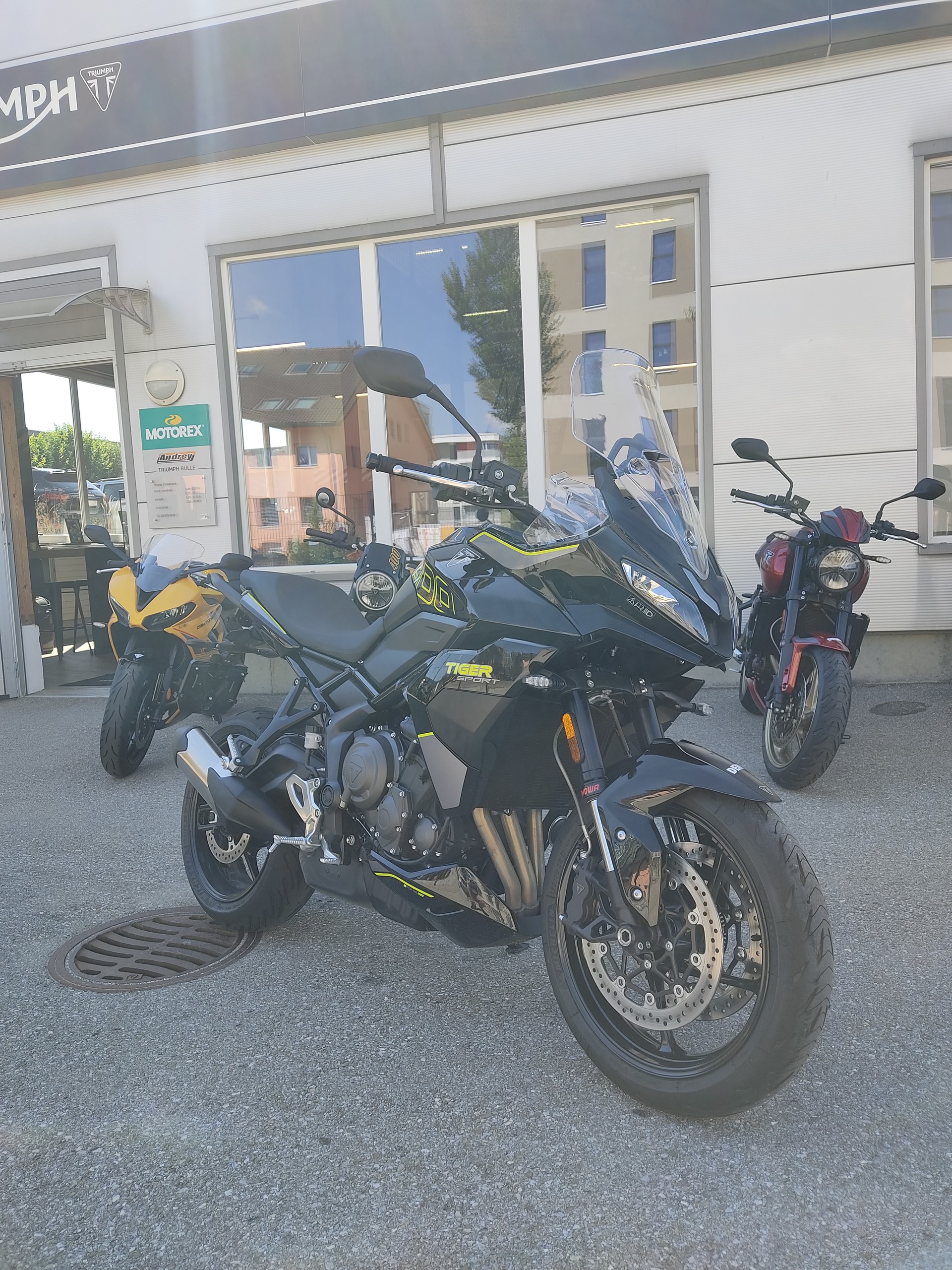 TRIUMPH Tiger Sport 800-image-0