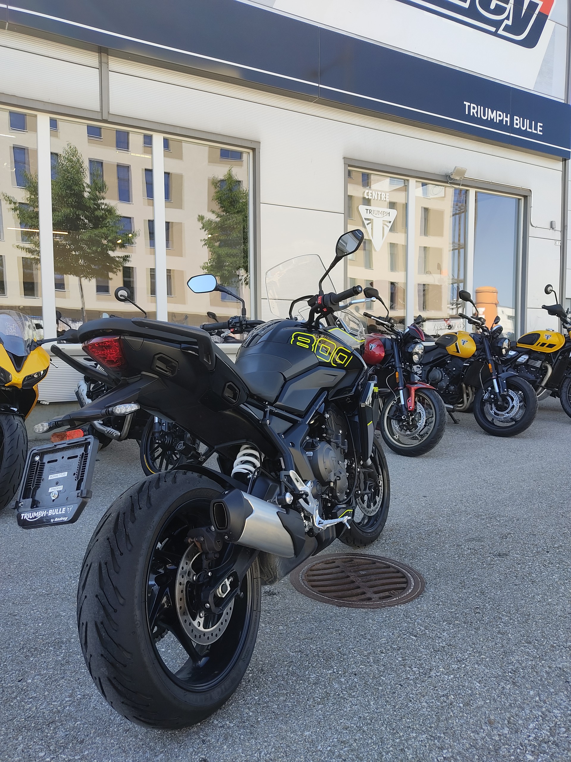 TRIUMPH Tiger Sport 800-image-2