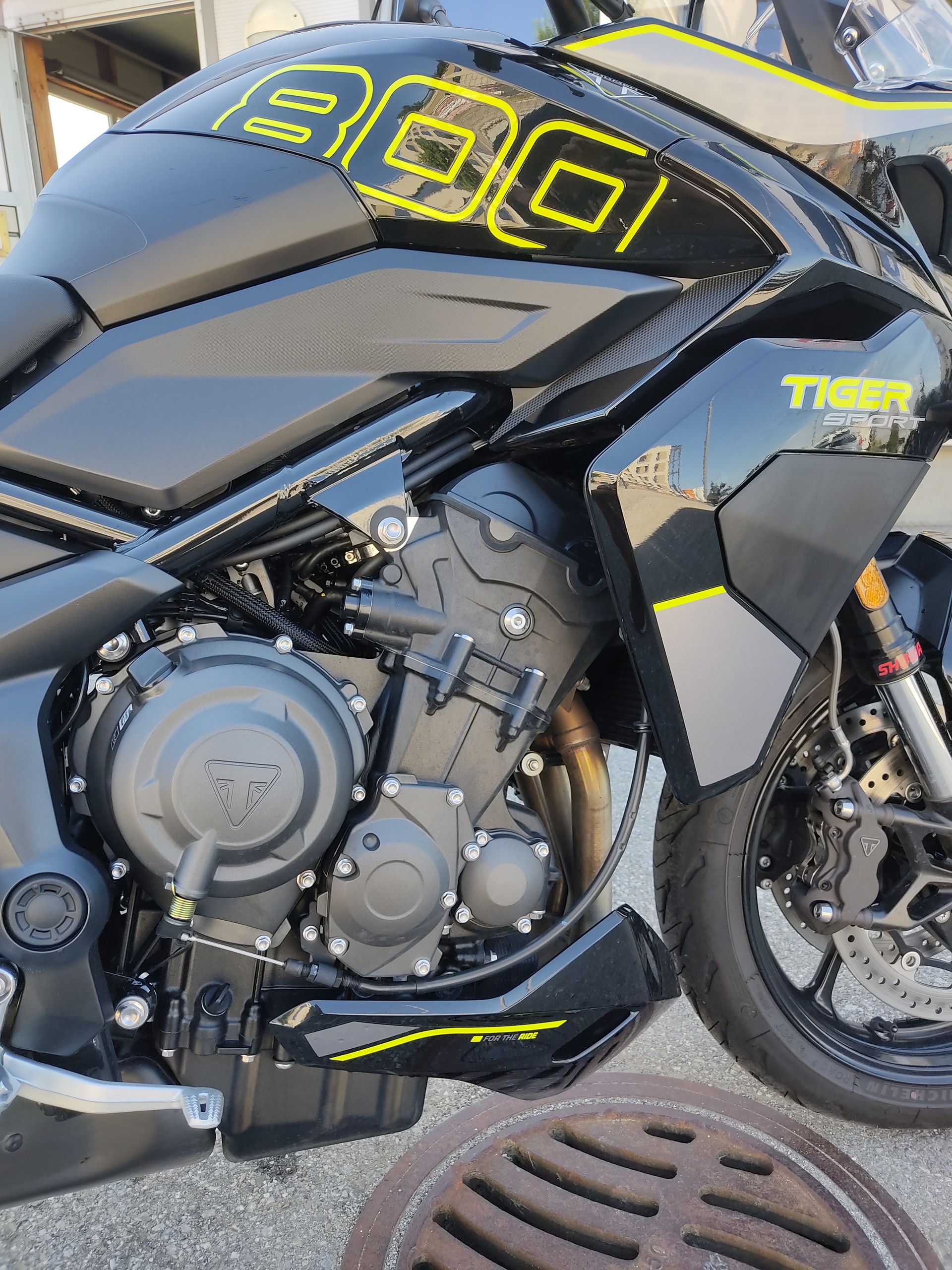 TRIUMPH Tiger Sport 800-image-5