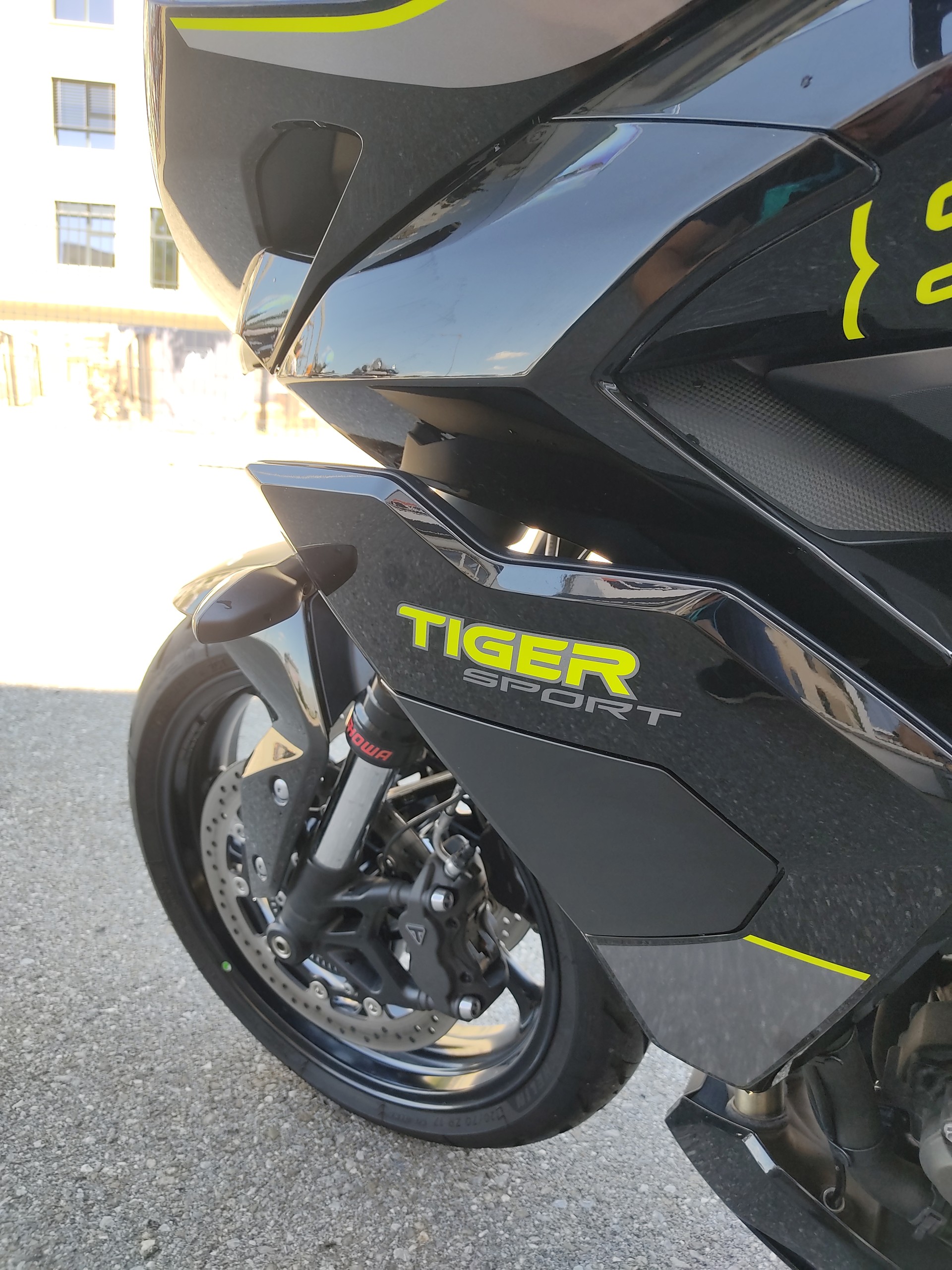 TRIUMPH Tiger Sport 800-image-4
