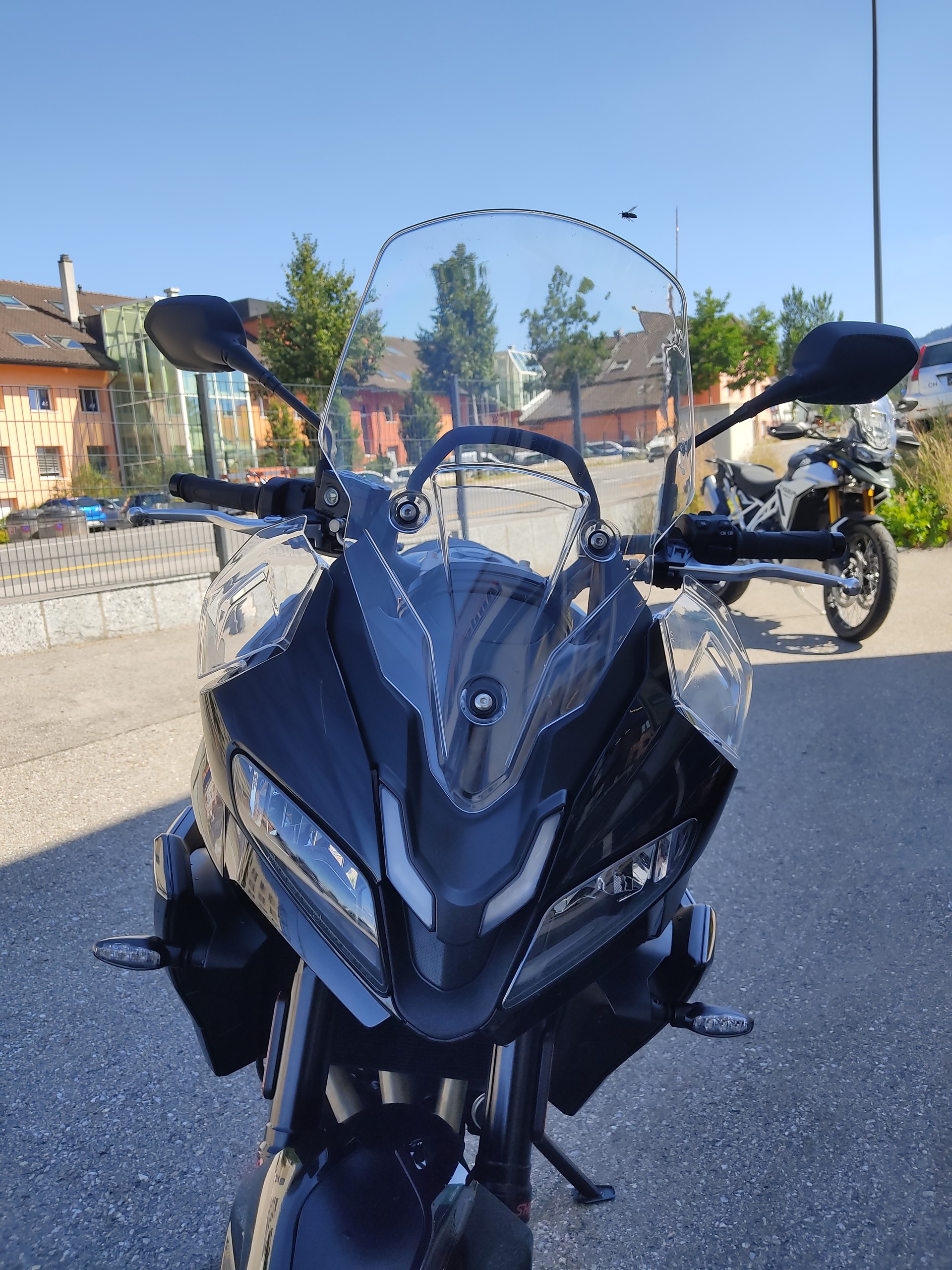 TRIUMPH Tiger Sport 800-image-6