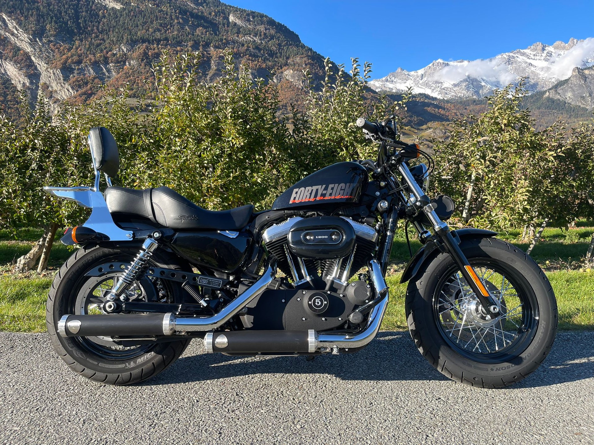 HARLEY-DAVIDSON XL 1200 X Forty Eight-image-1