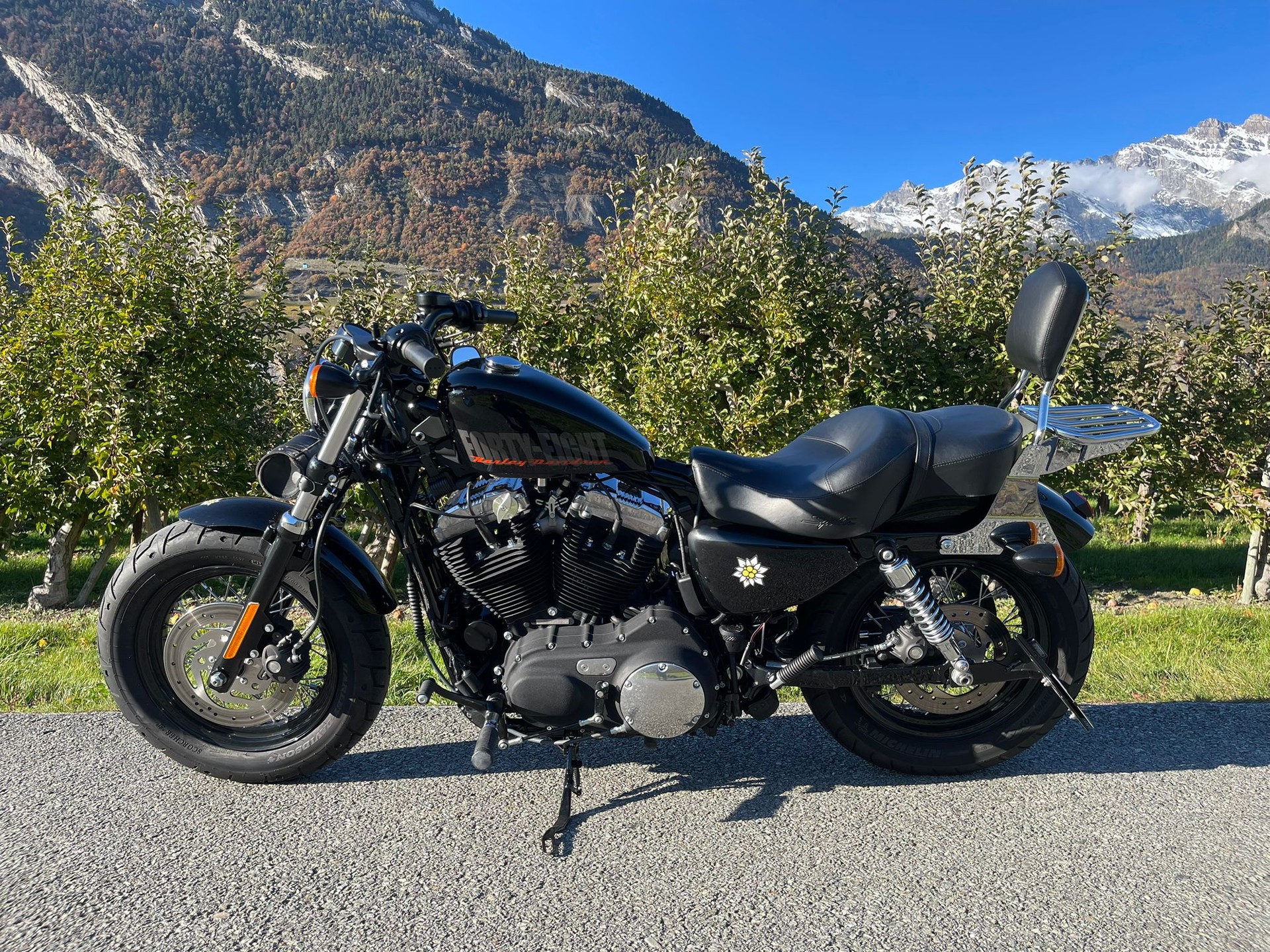 HARLEY-DAVIDSON XL 1200 X Forty Eight
