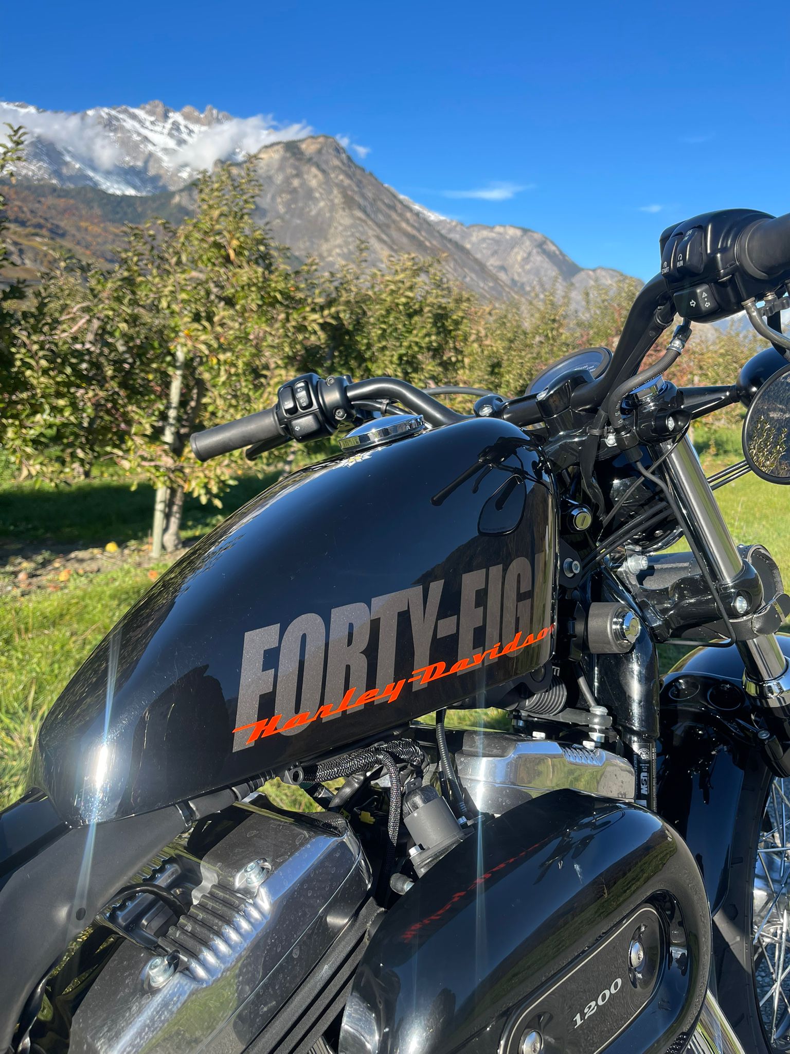 HARLEY-DAVIDSON XL 1200 X Forty Eight-image-2