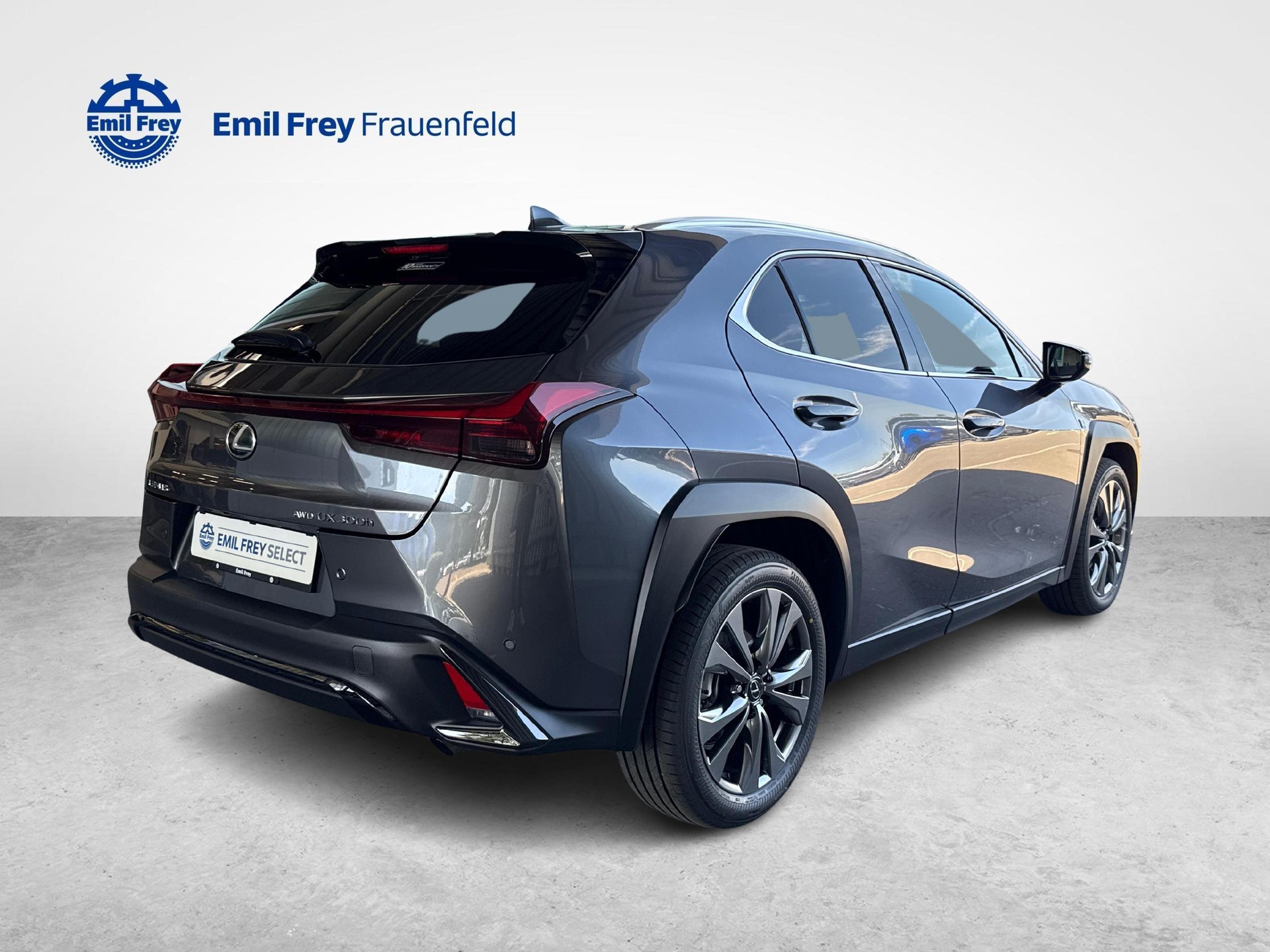 LEXUS UX 300h F-Line-image-4