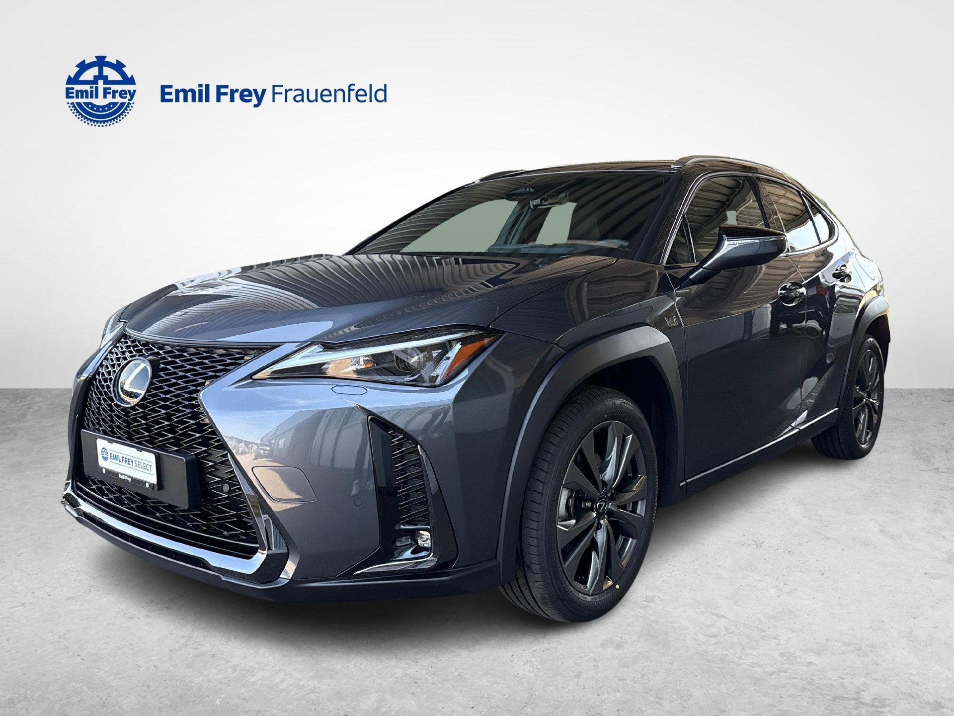 LEXUS UX 300h F-Line