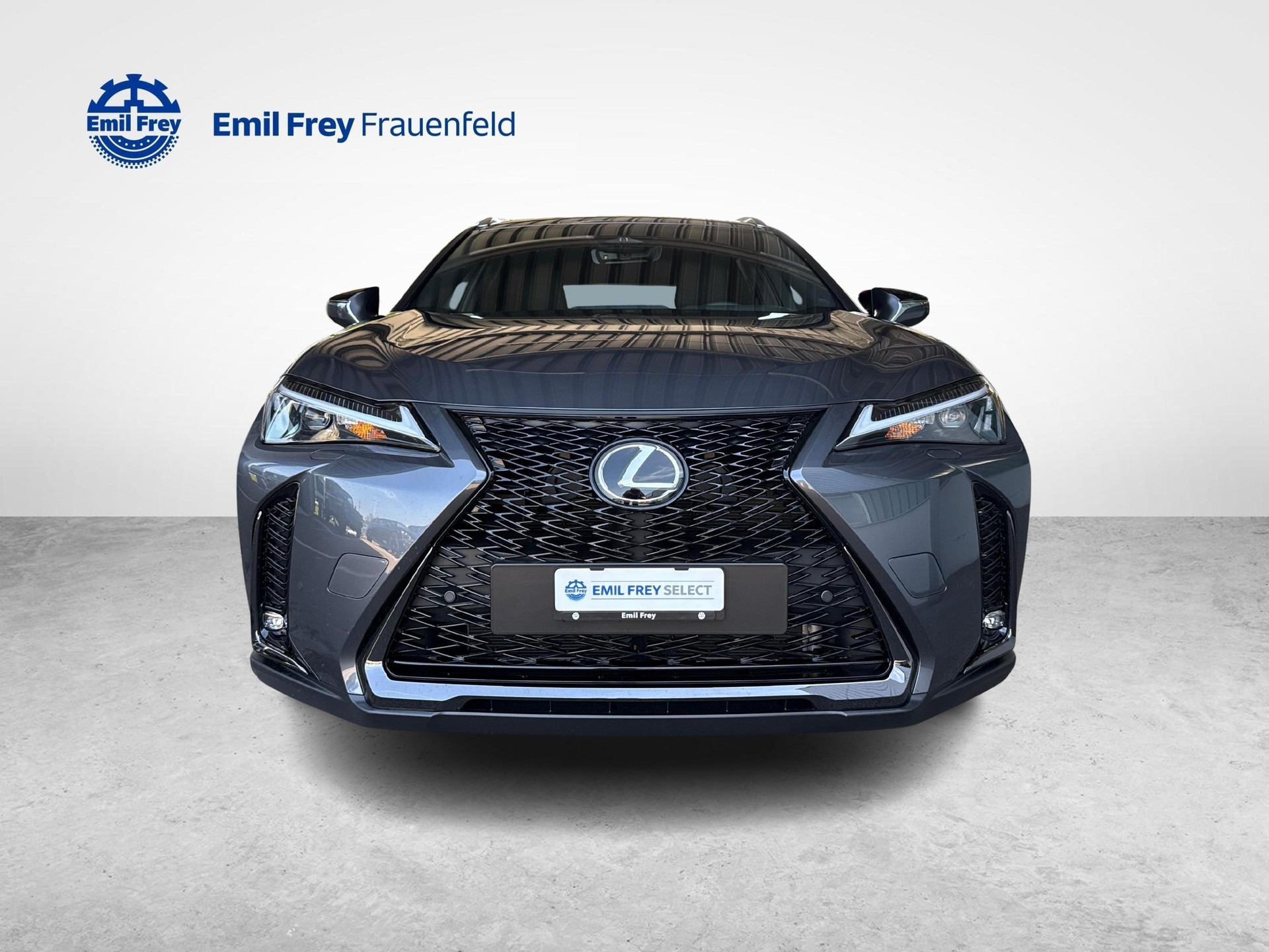 LEXUS UX 300h F-Line-image-7
