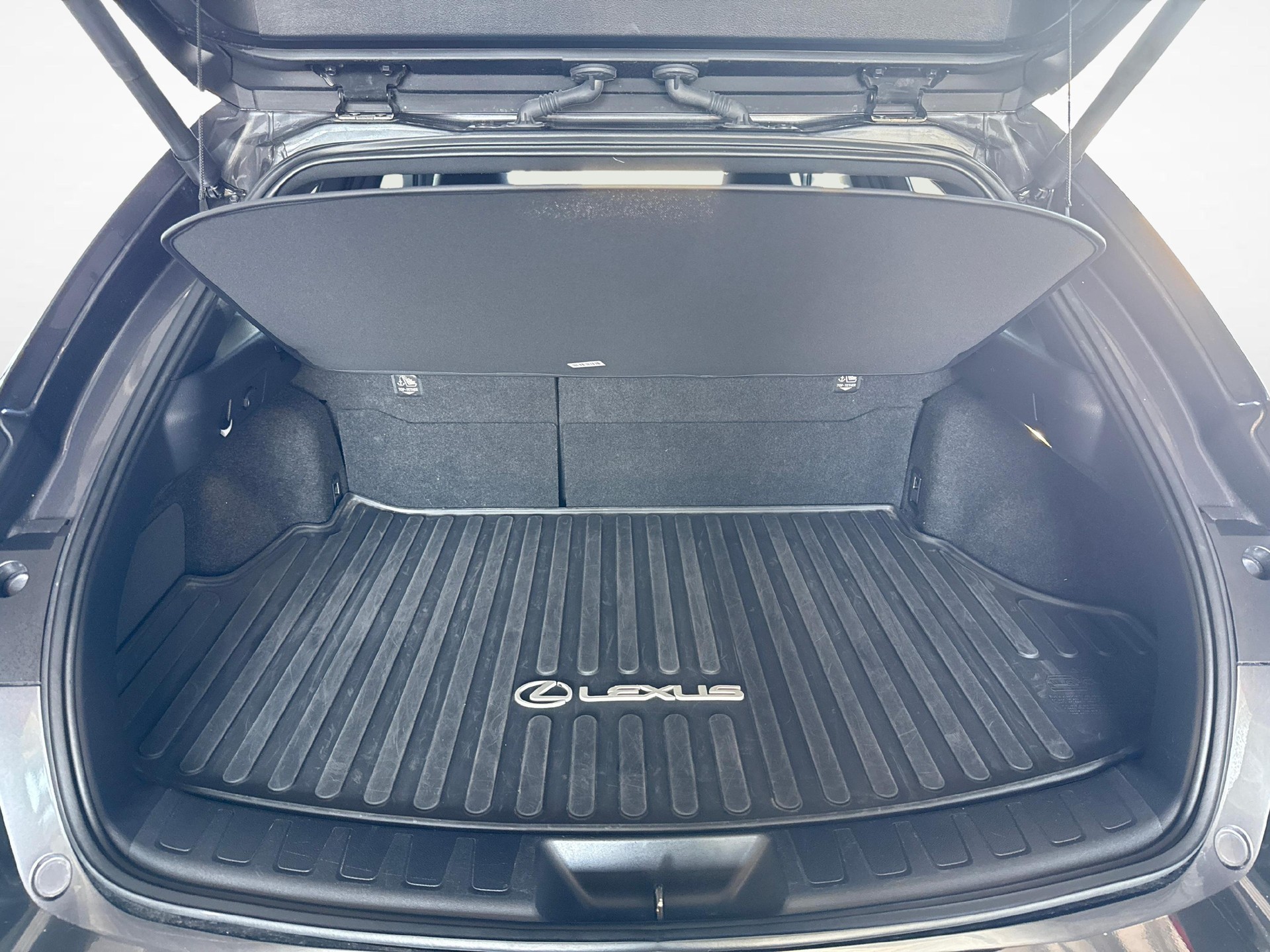 LEXUS UX 300h F-Line-image-11